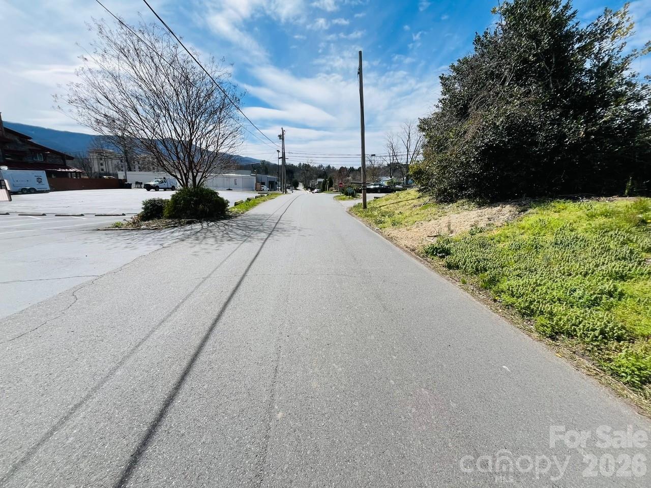 11 Terry Estate Drive Black Mountain NC 28711