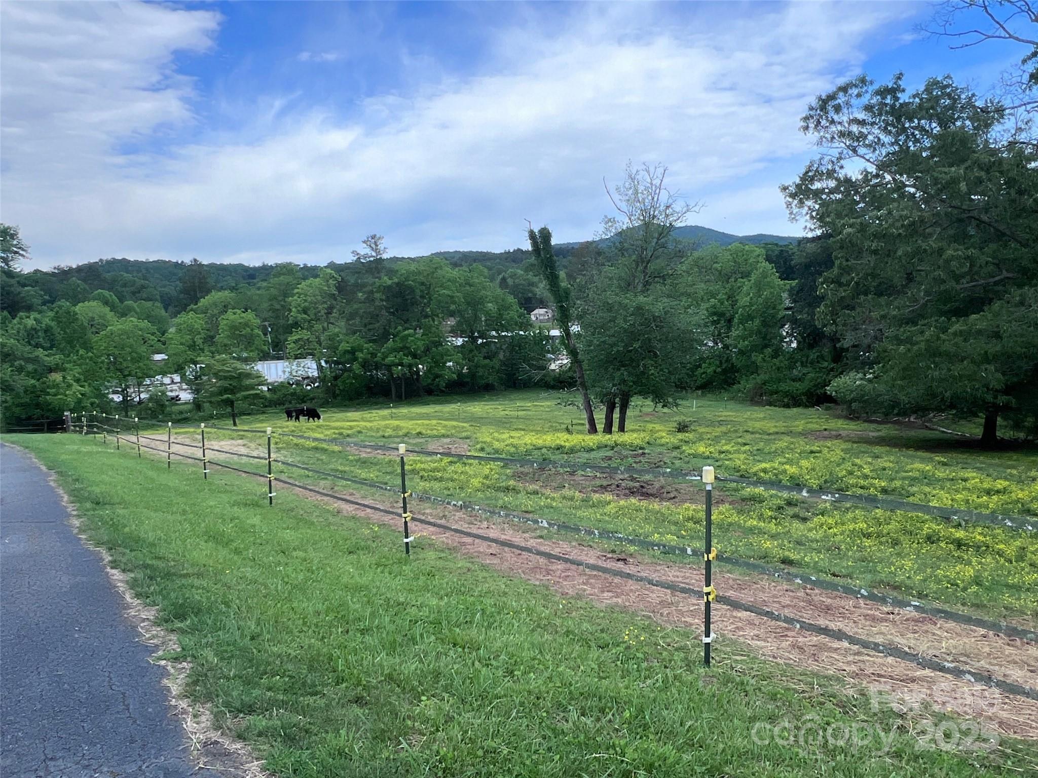 99999 Hamilton Drive Brevard NC 28712