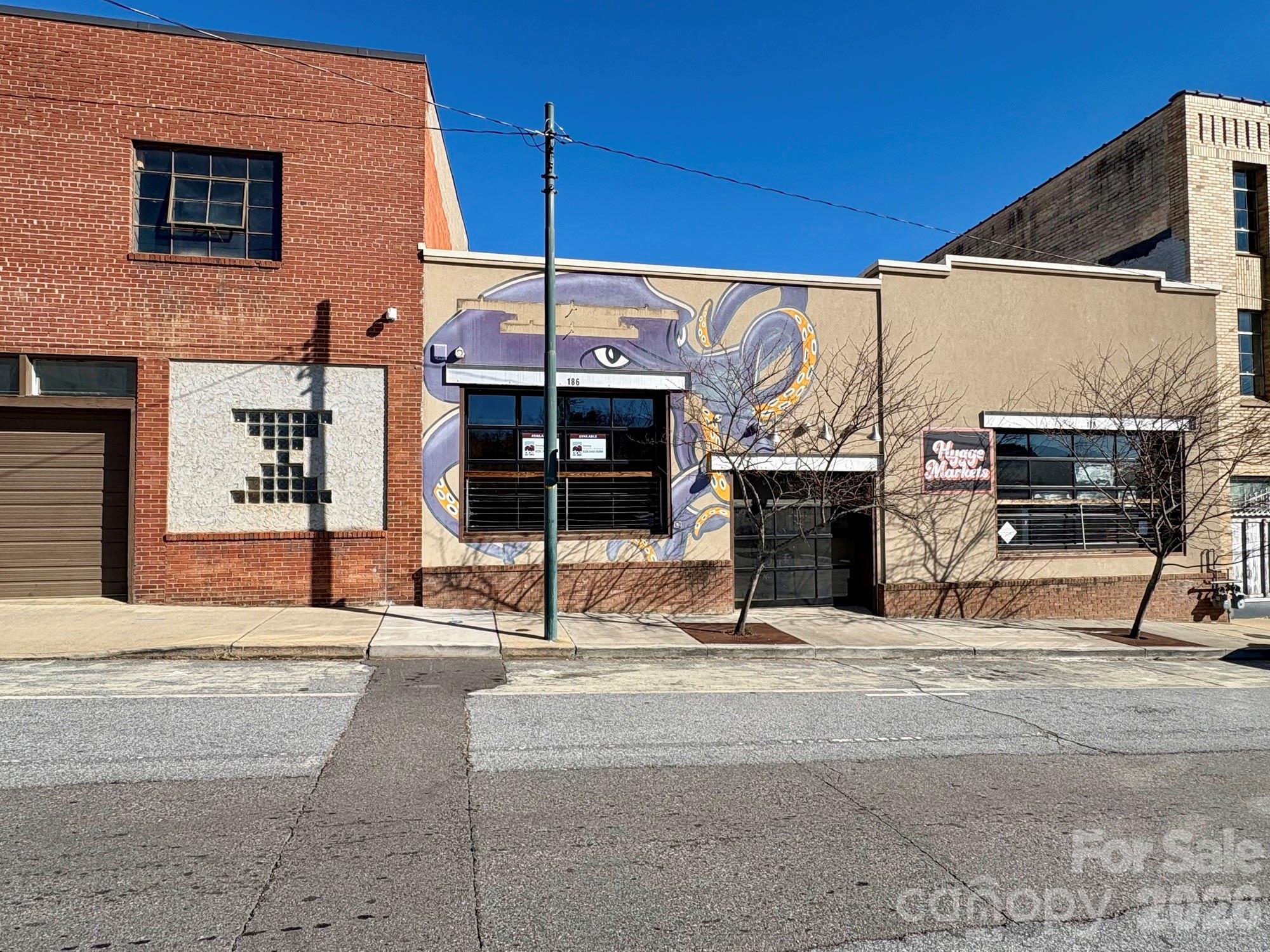 186 Coxe Avenue Asheville NC 28801
