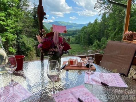 405 Johnathan Walk Road Bryson City NC 28713