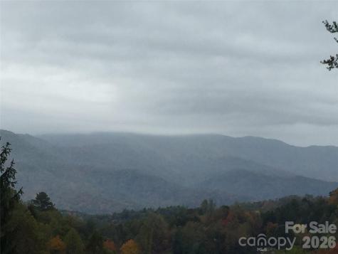 405 Johnathan Walk Road Bryson City NC 28713