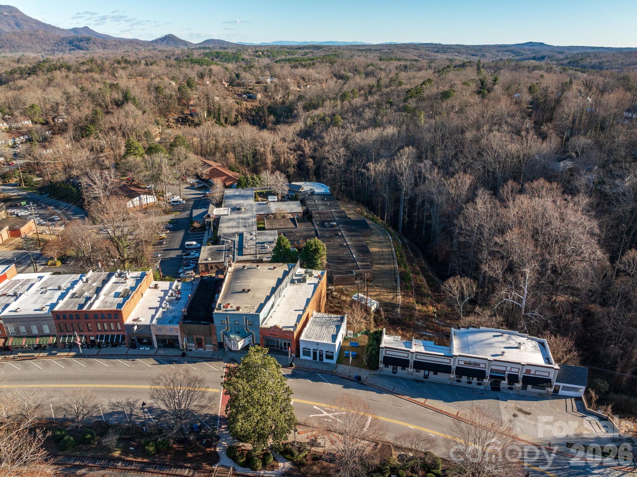 55 S Trade Street Tryon NC 28782