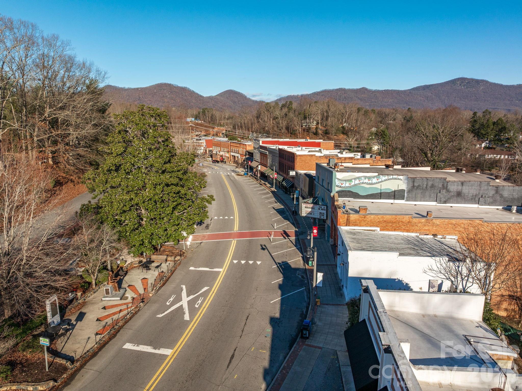 55 S Trade Street Tryon NC 28782