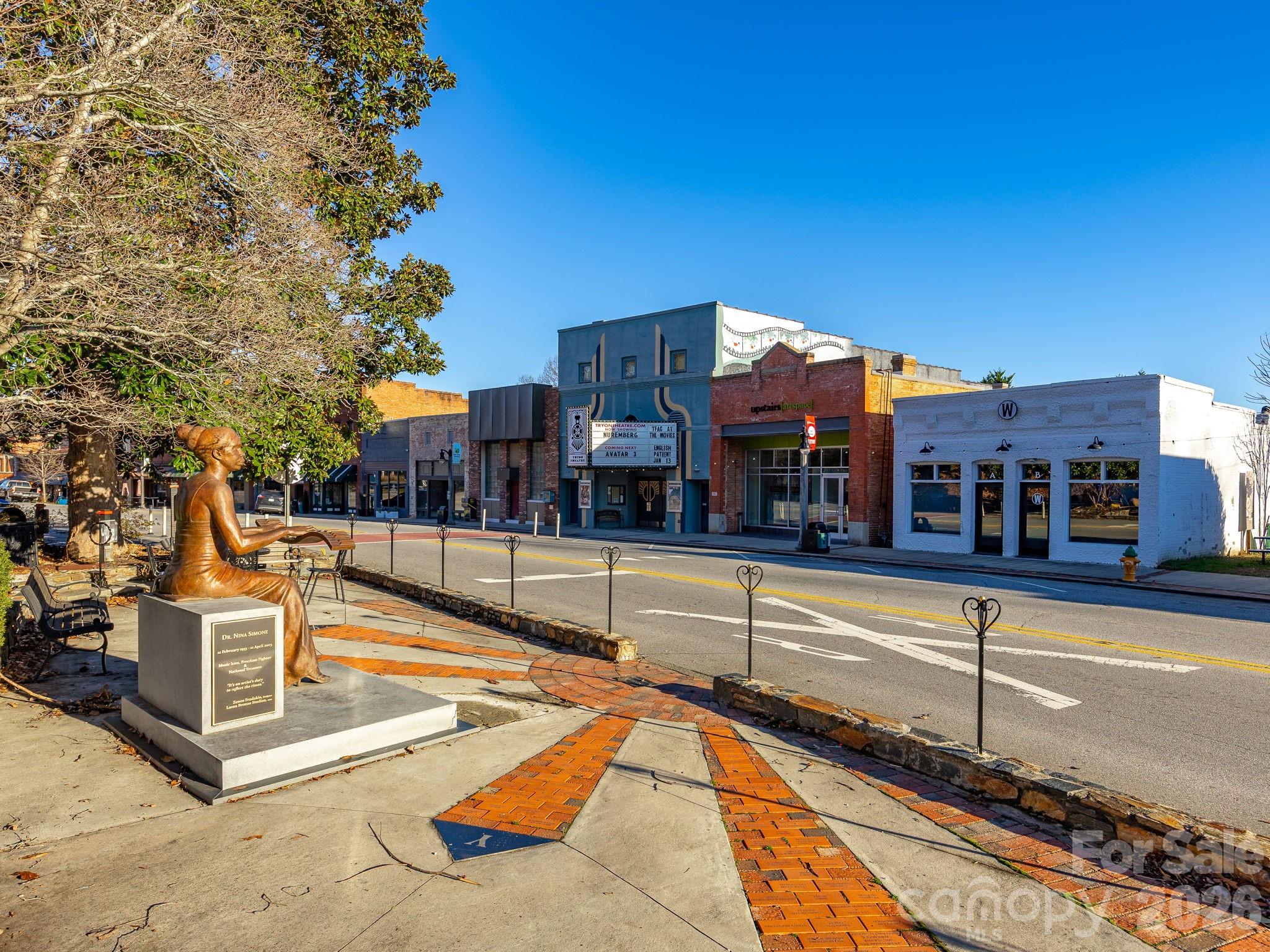 55 S Trade Street Tryon NC 28782