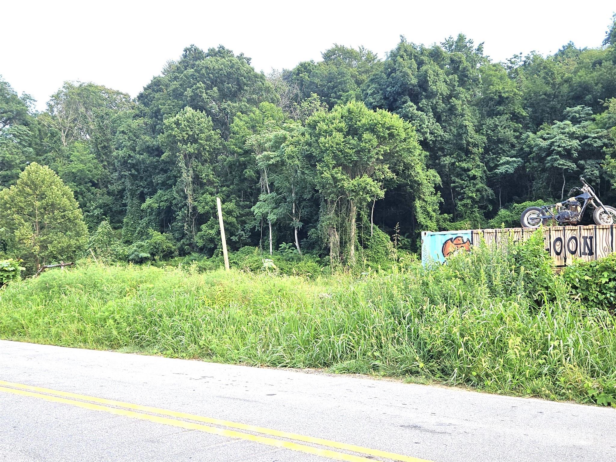 0 Swannanoa River Road Asheville NC 28803