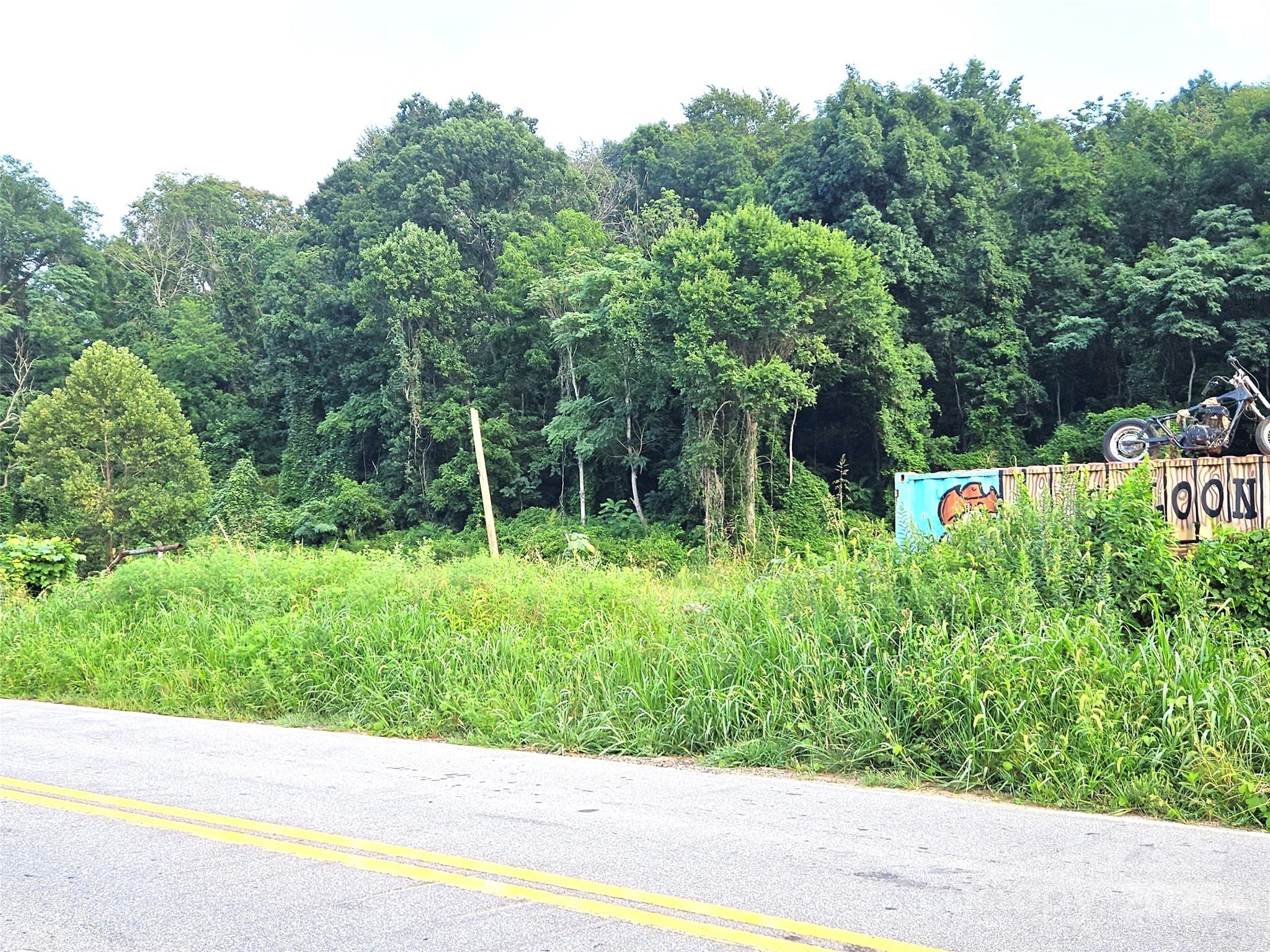 0 Swannanoa River Road Asheville NC 28803