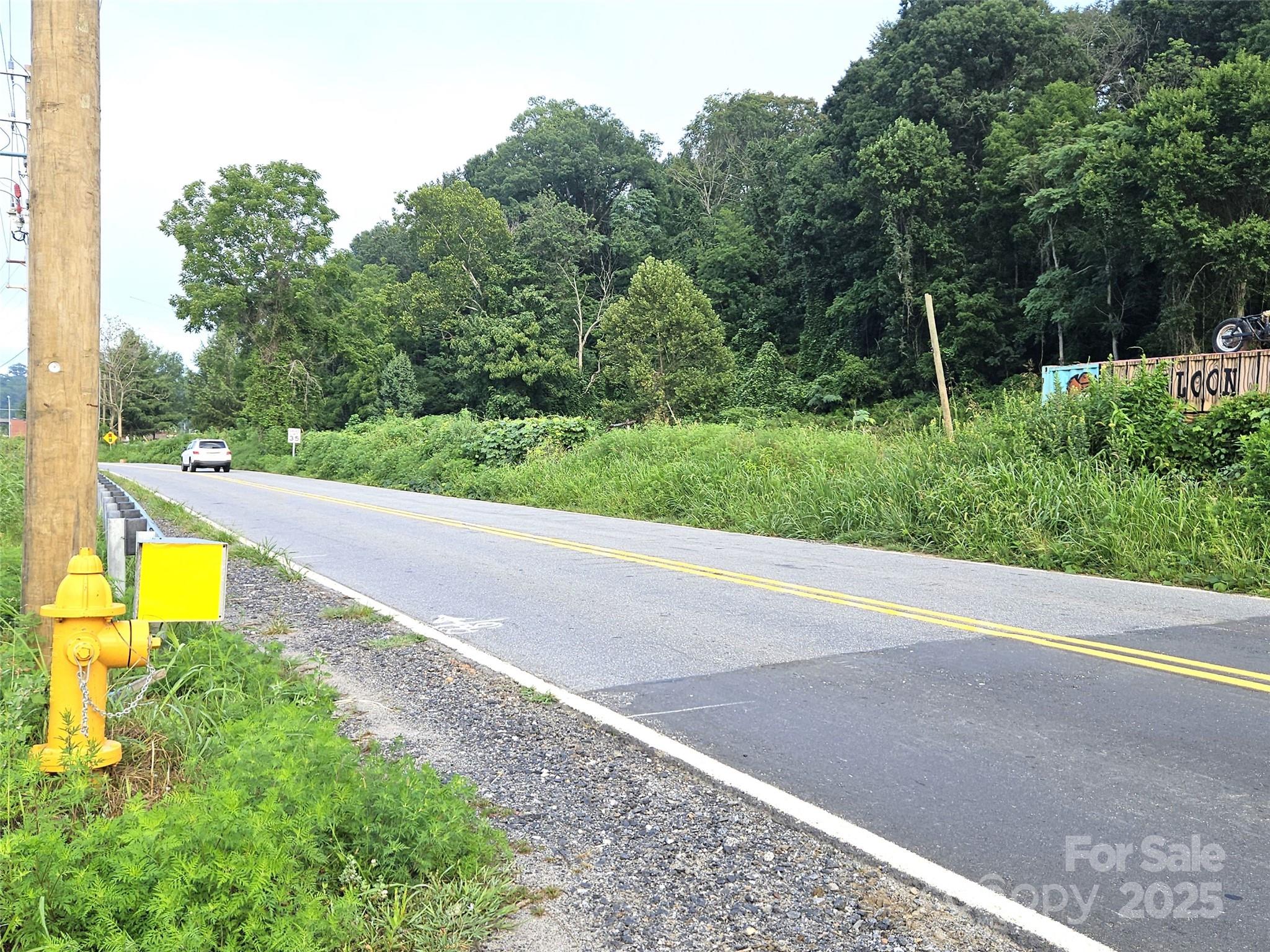0 Swannanoa River Road Asheville NC 28803
