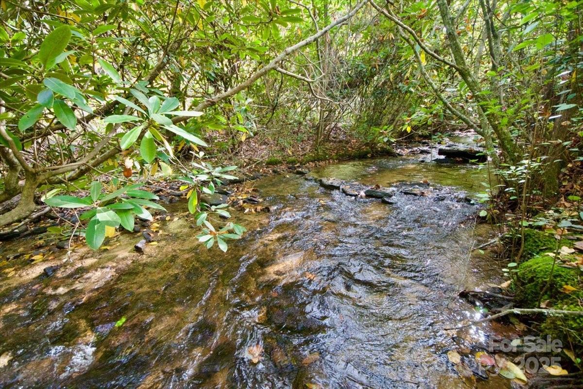 5580 Greenville Highway Brevard NC 28712