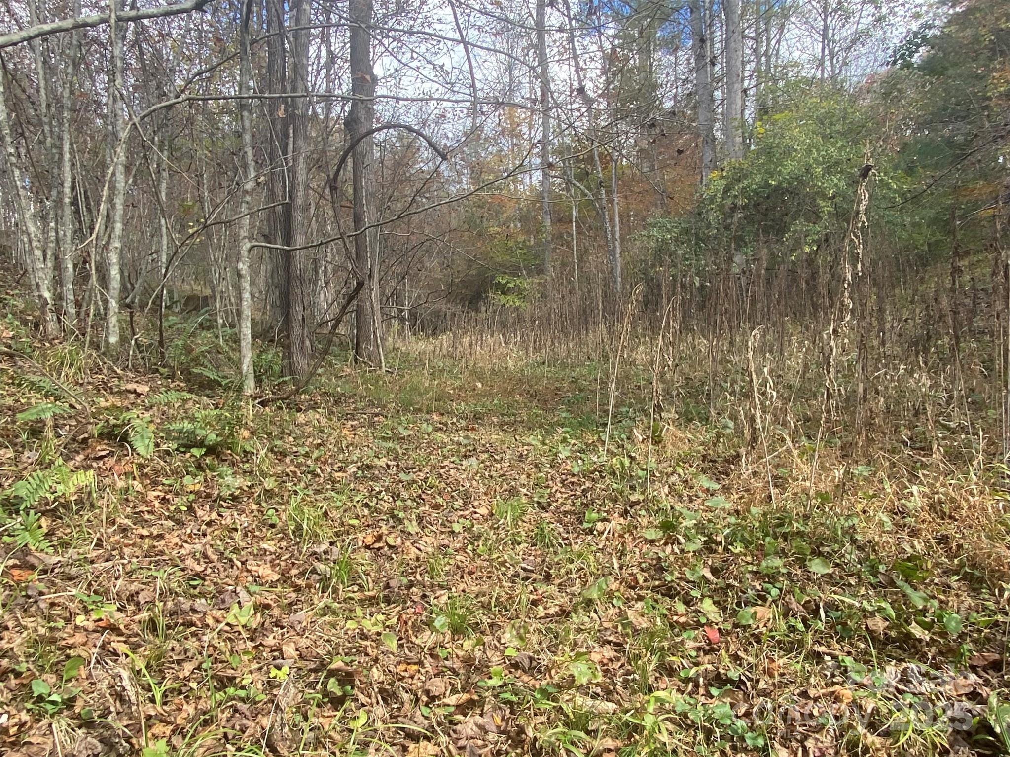 23 Lana Lane Burnsville NC 28714