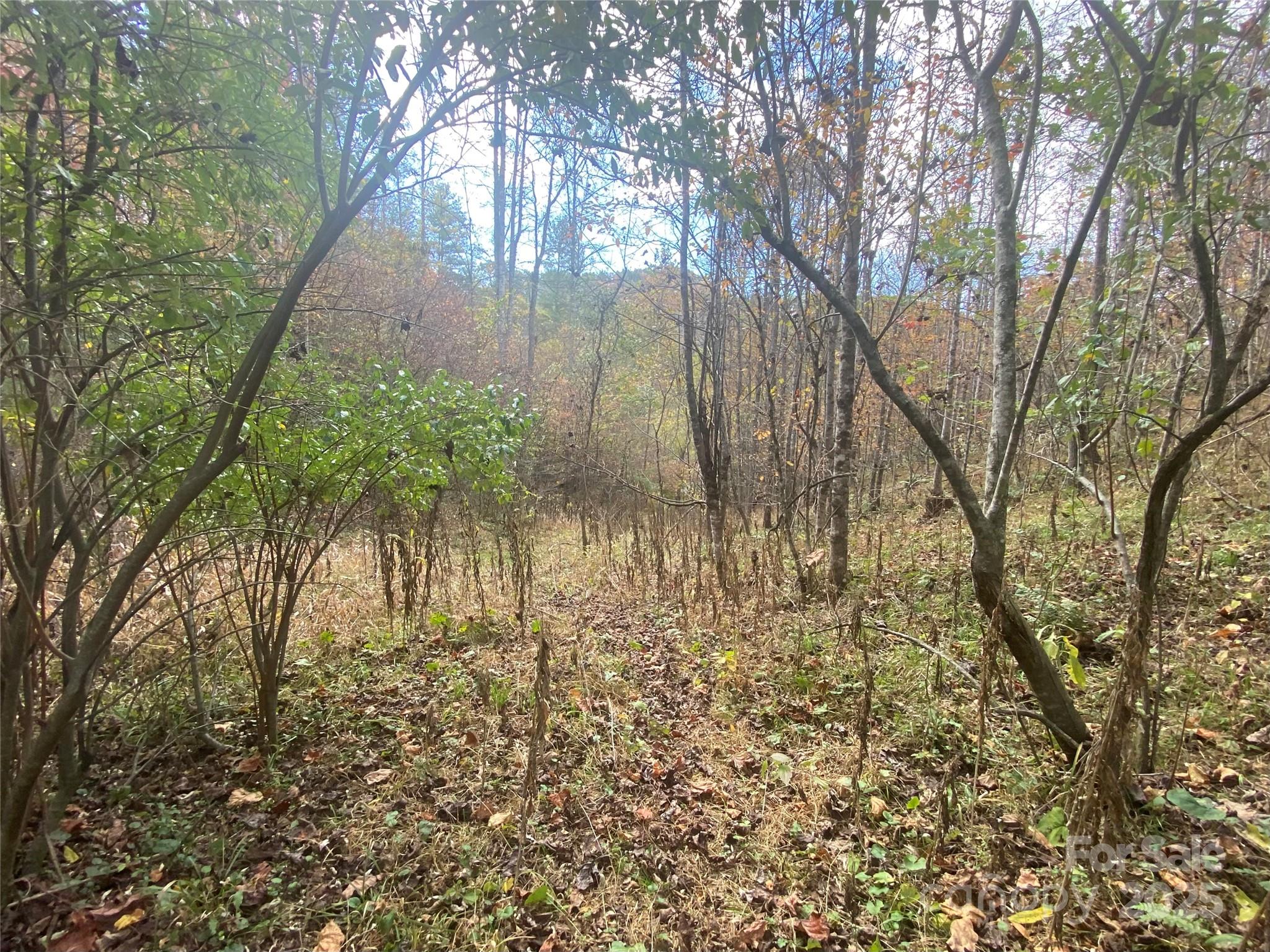 23 Lana Lane Burnsville NC 28714