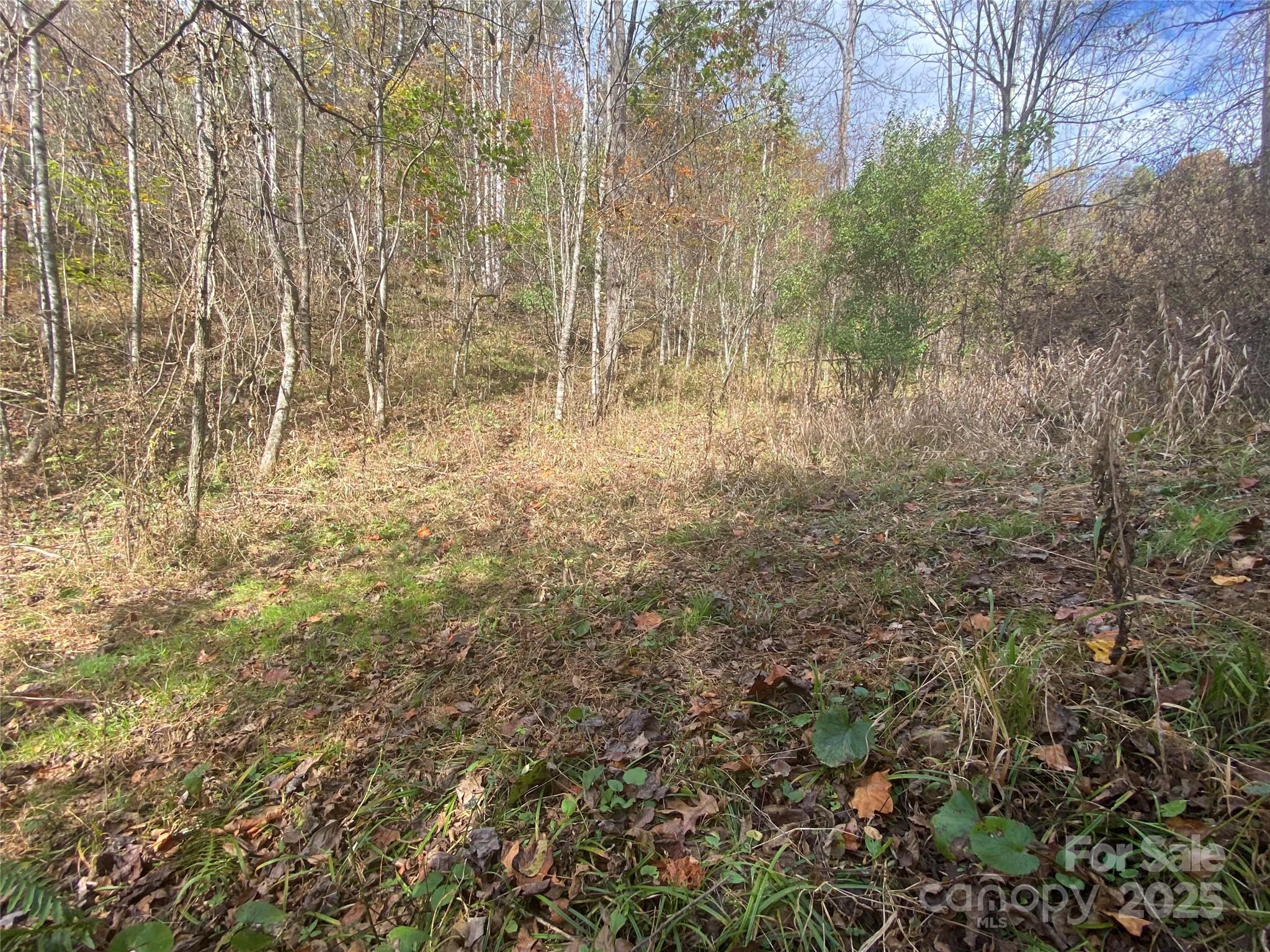 23 Lana Lane Burnsville NC 28714