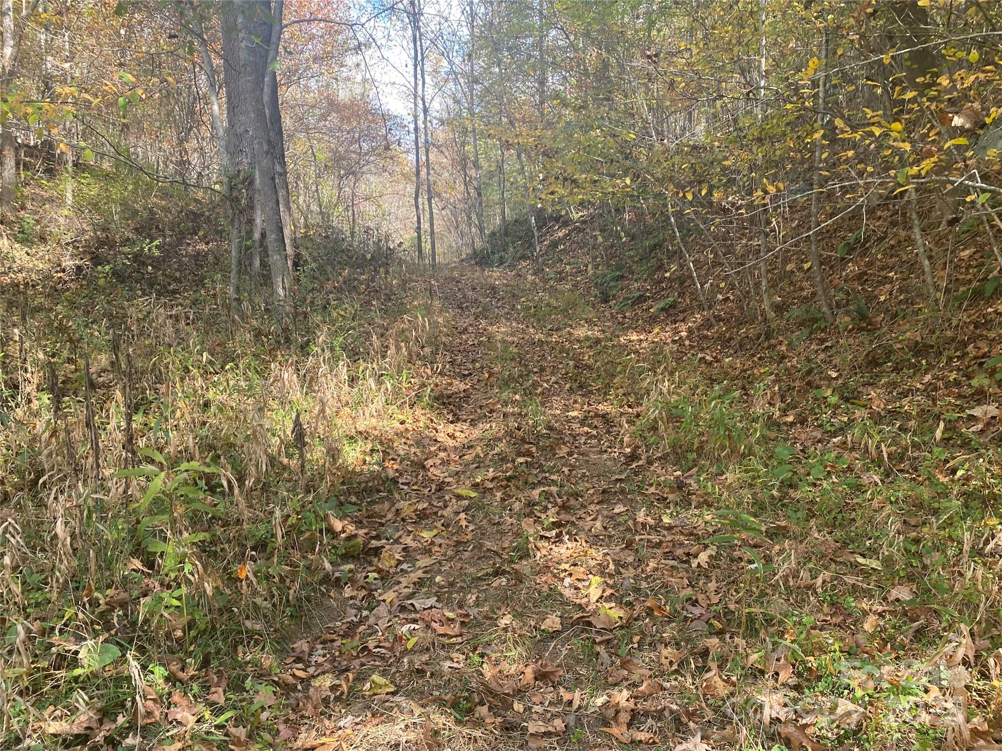 23 Lana Lane Burnsville NC 28714