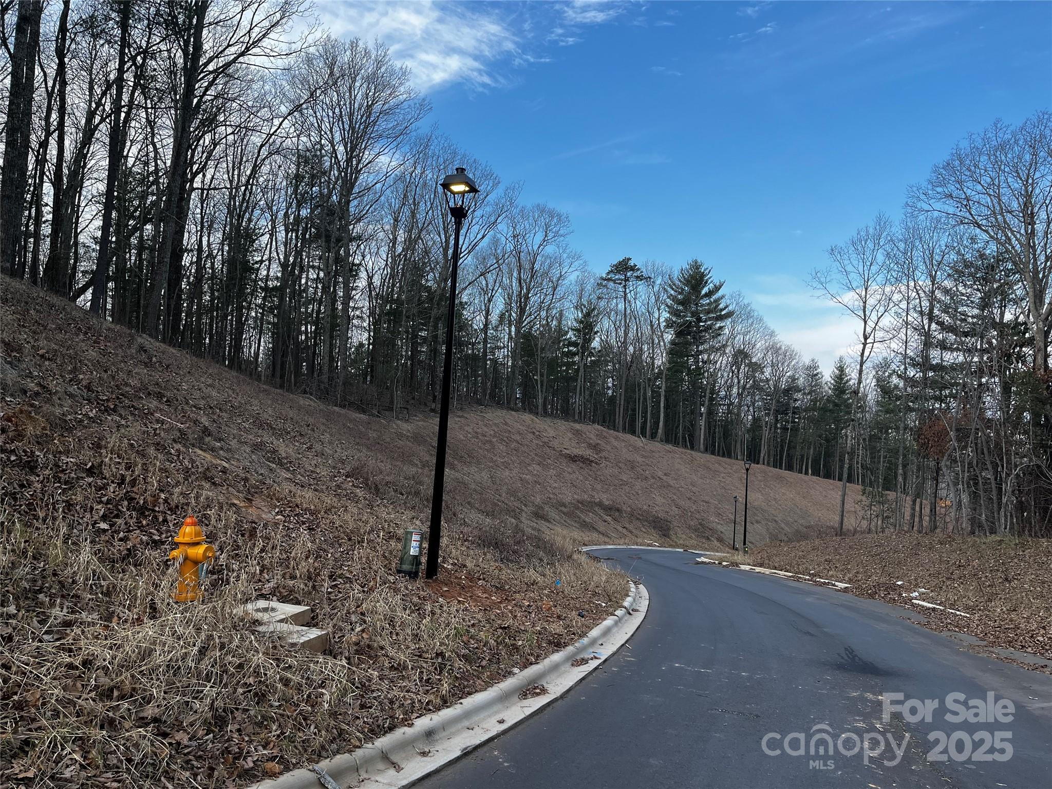 105 Woodland Meadows Drive Asheville NC 28803
