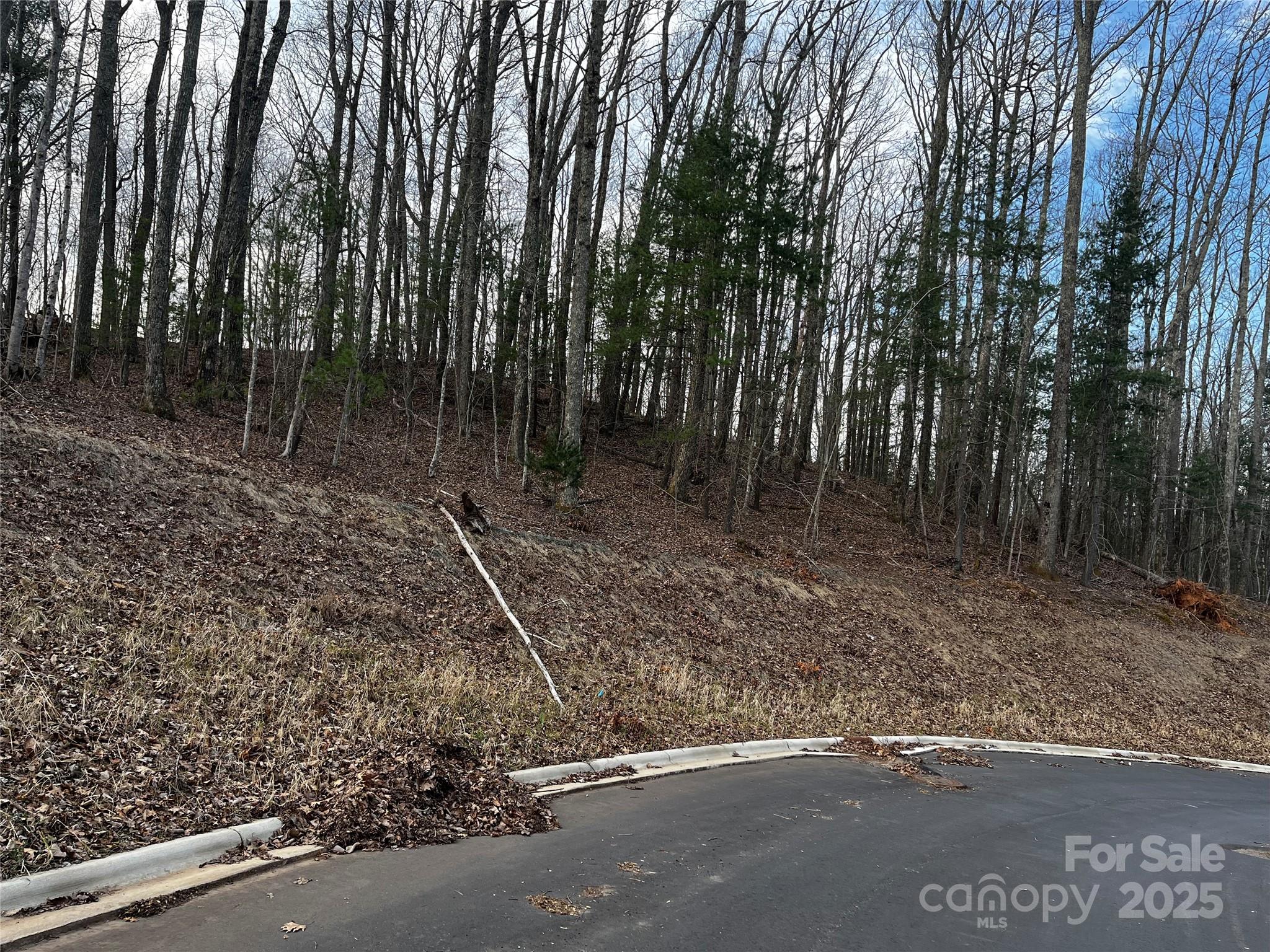105 Woodland Meadows Drive Asheville NC 28803