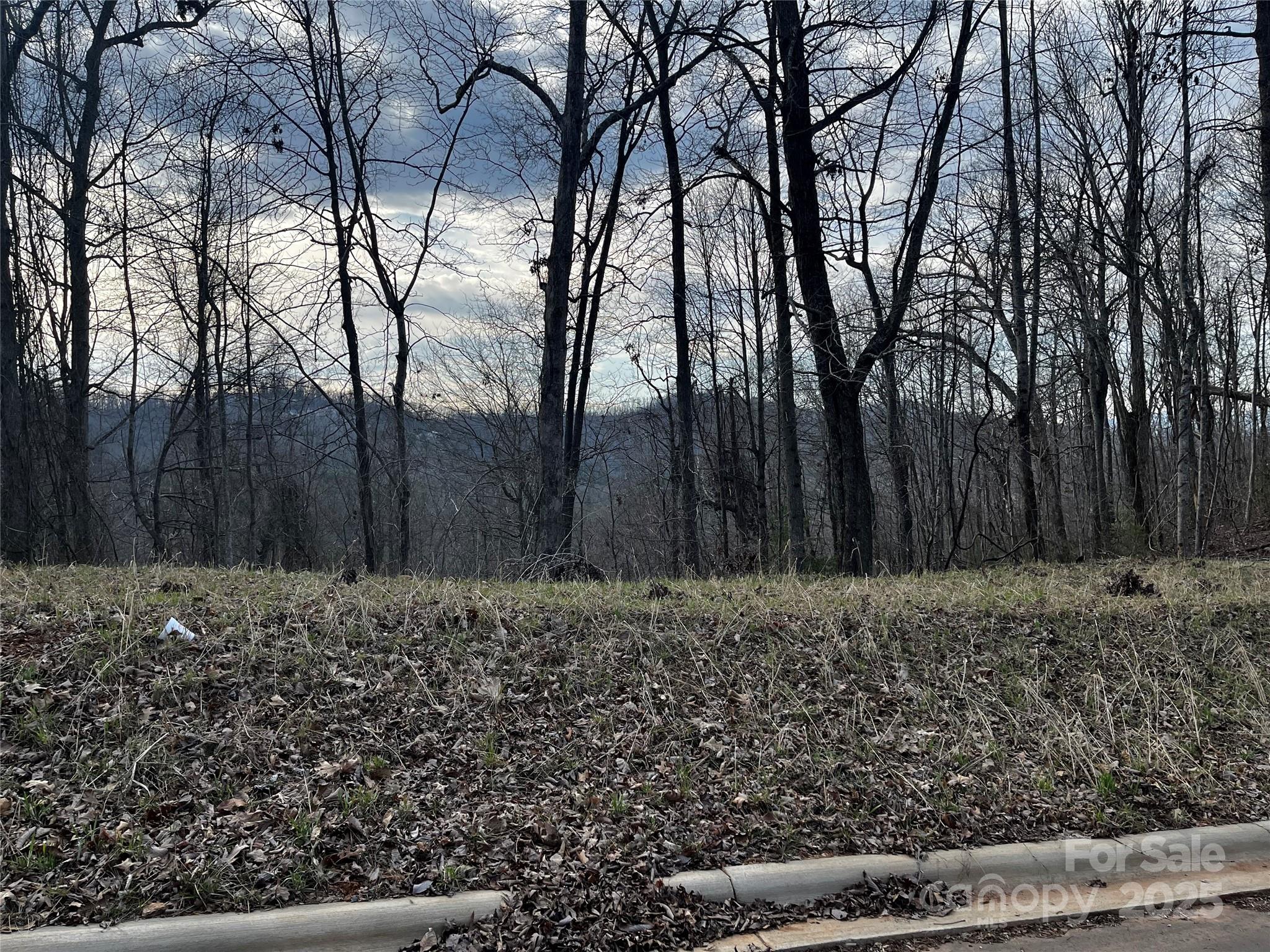 105 Woodland Meadows Drive Asheville NC 28803