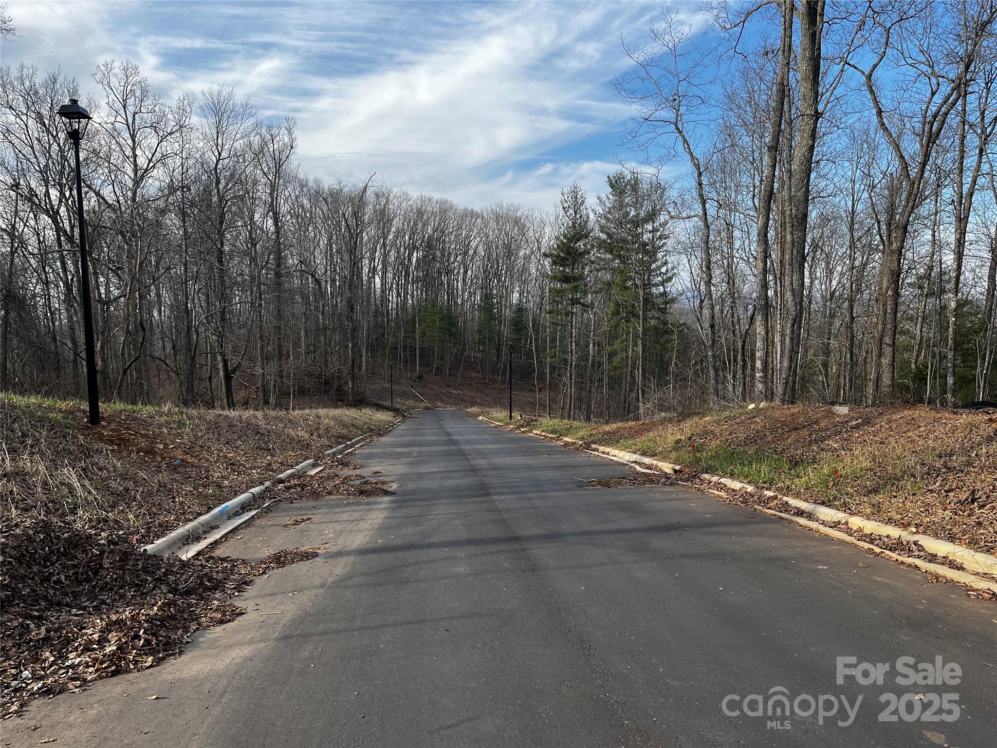 105 Woodland Meadows Drive Asheville NC 28803