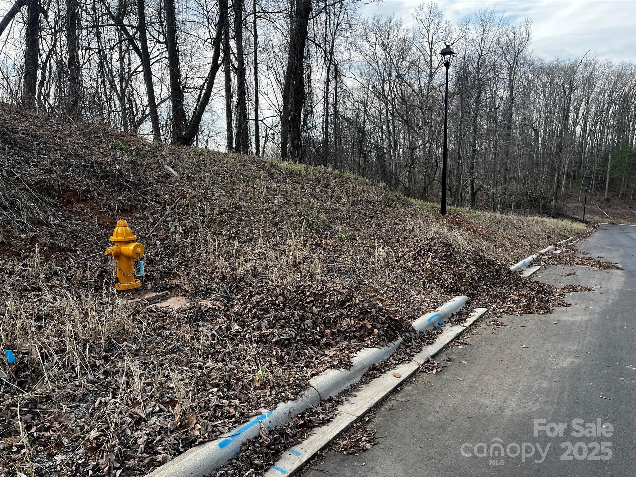 105 Woodland Meadows Drive Asheville NC 28803