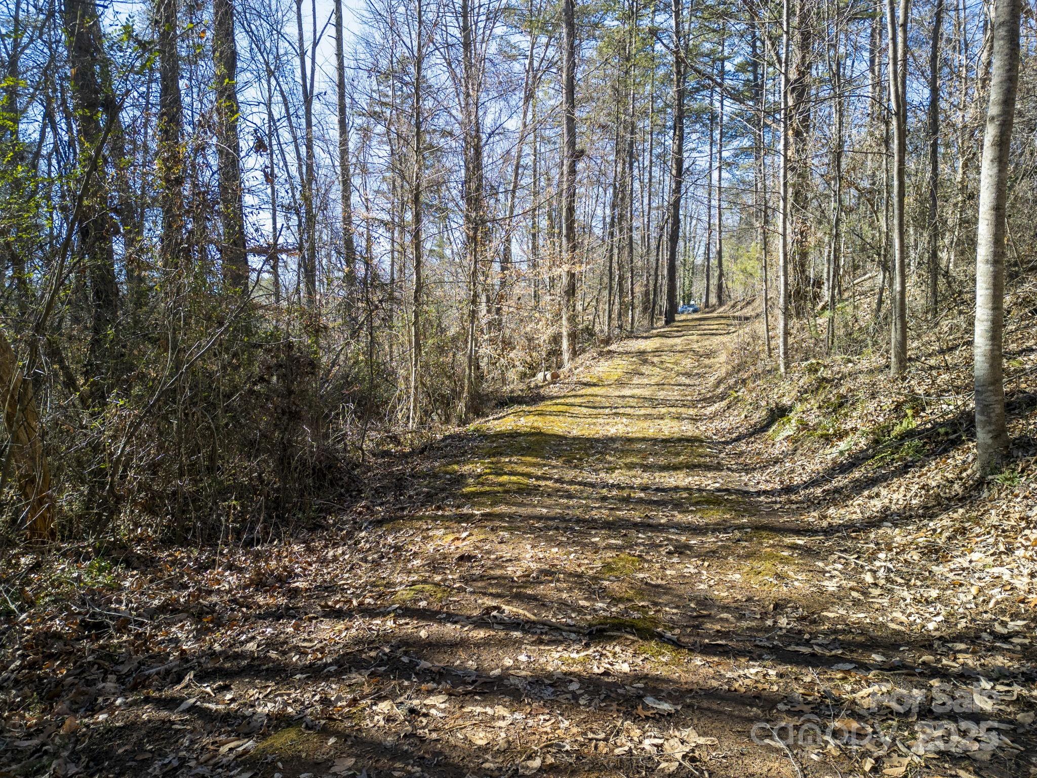 99999 Monticello Road Weaverville NC 28787