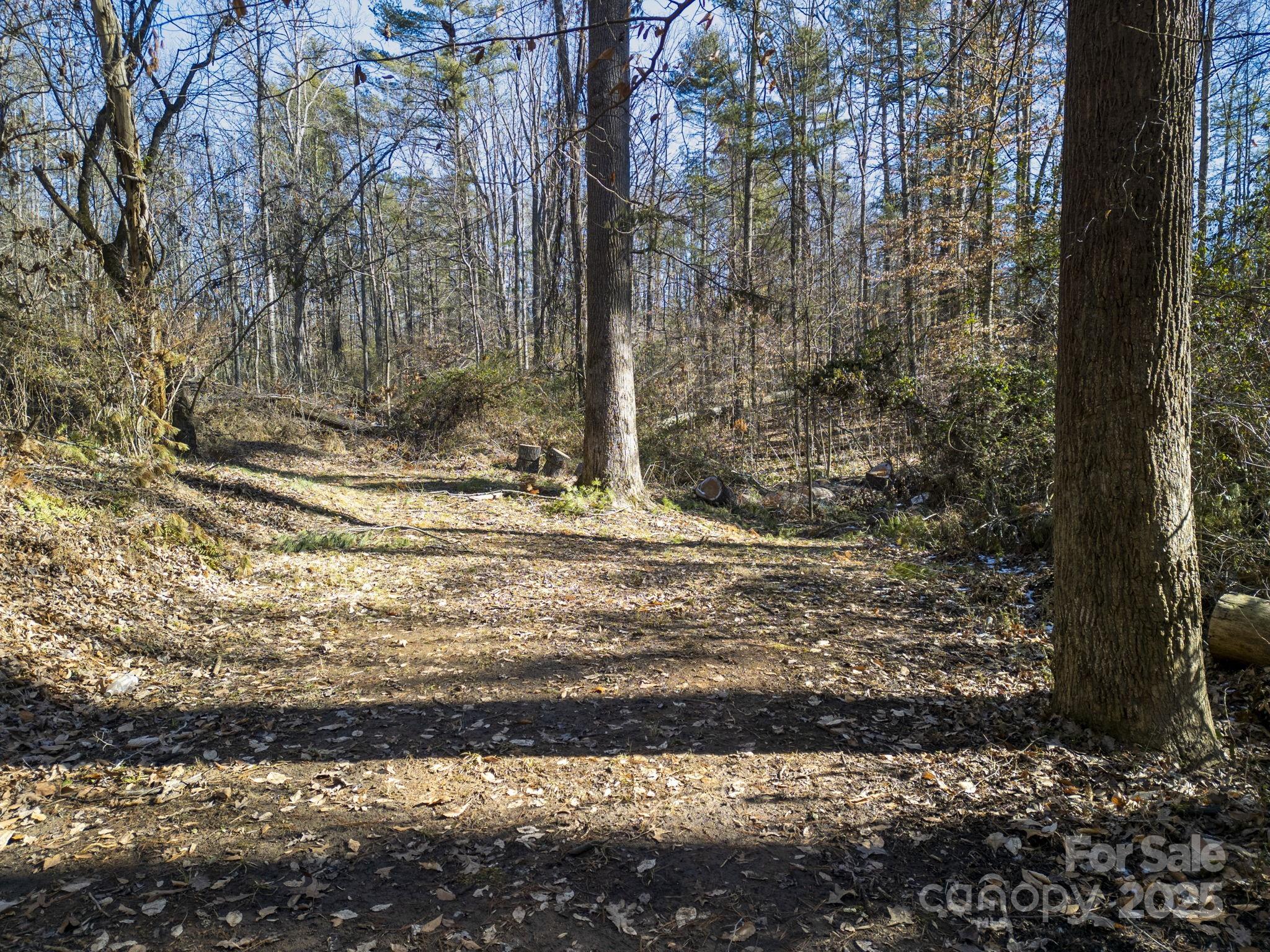 99999 Monticello Road Weaverville NC 28787