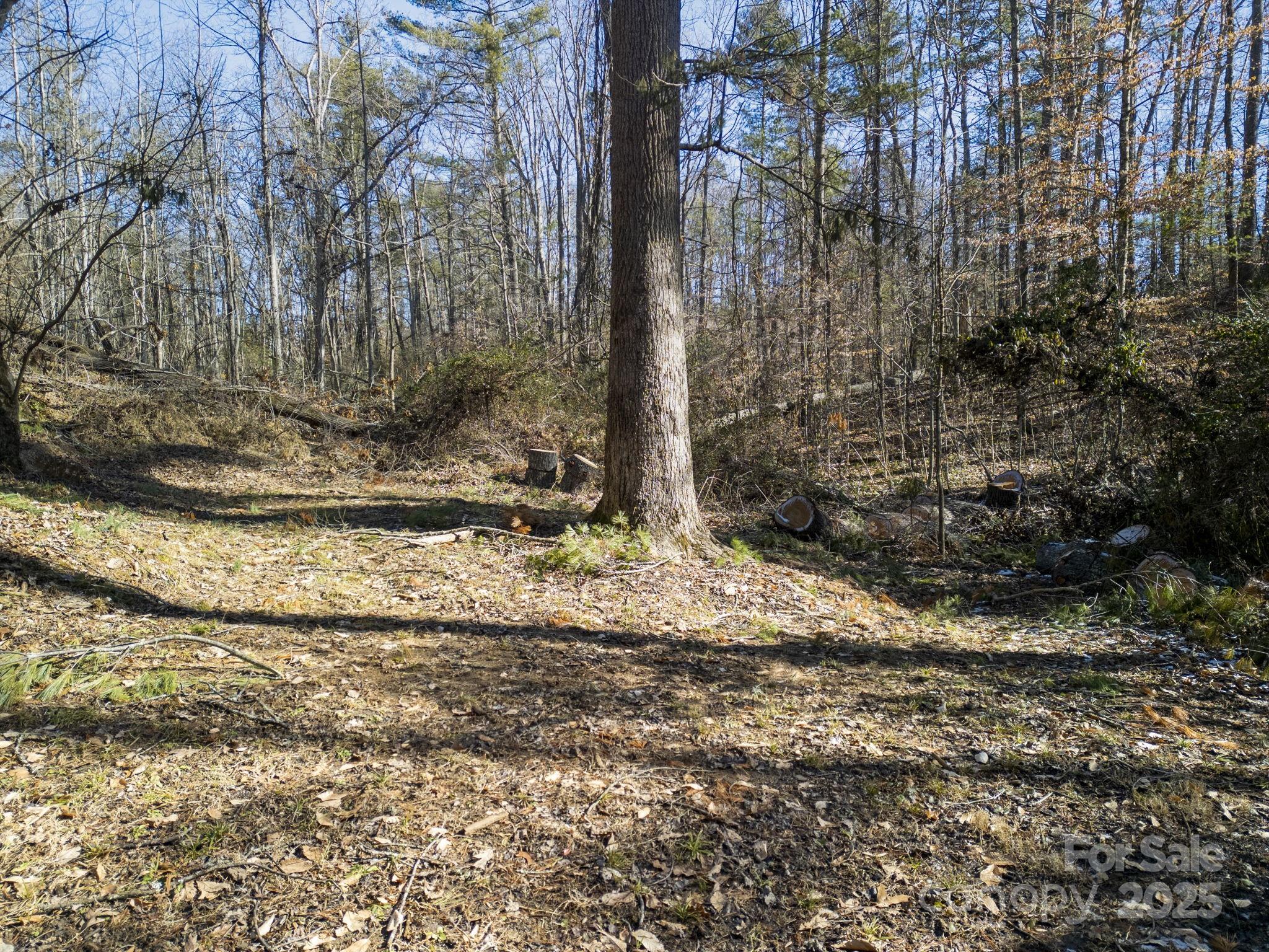 99999 Monticello Road Weaverville NC 28787