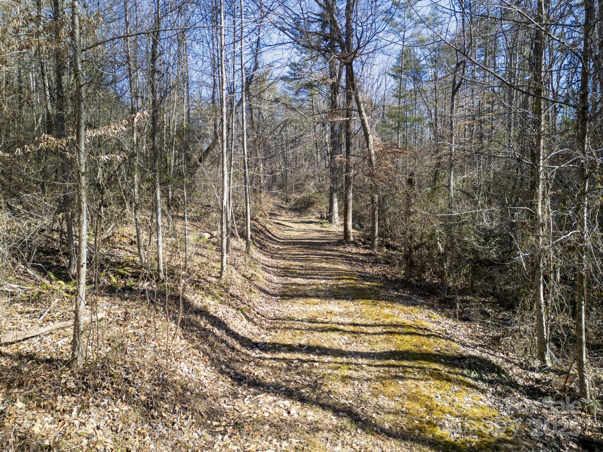 99999 Monticello Road Weaverville NC 28787