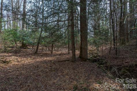 Tbd Ball Gap Road Arden NC 28704