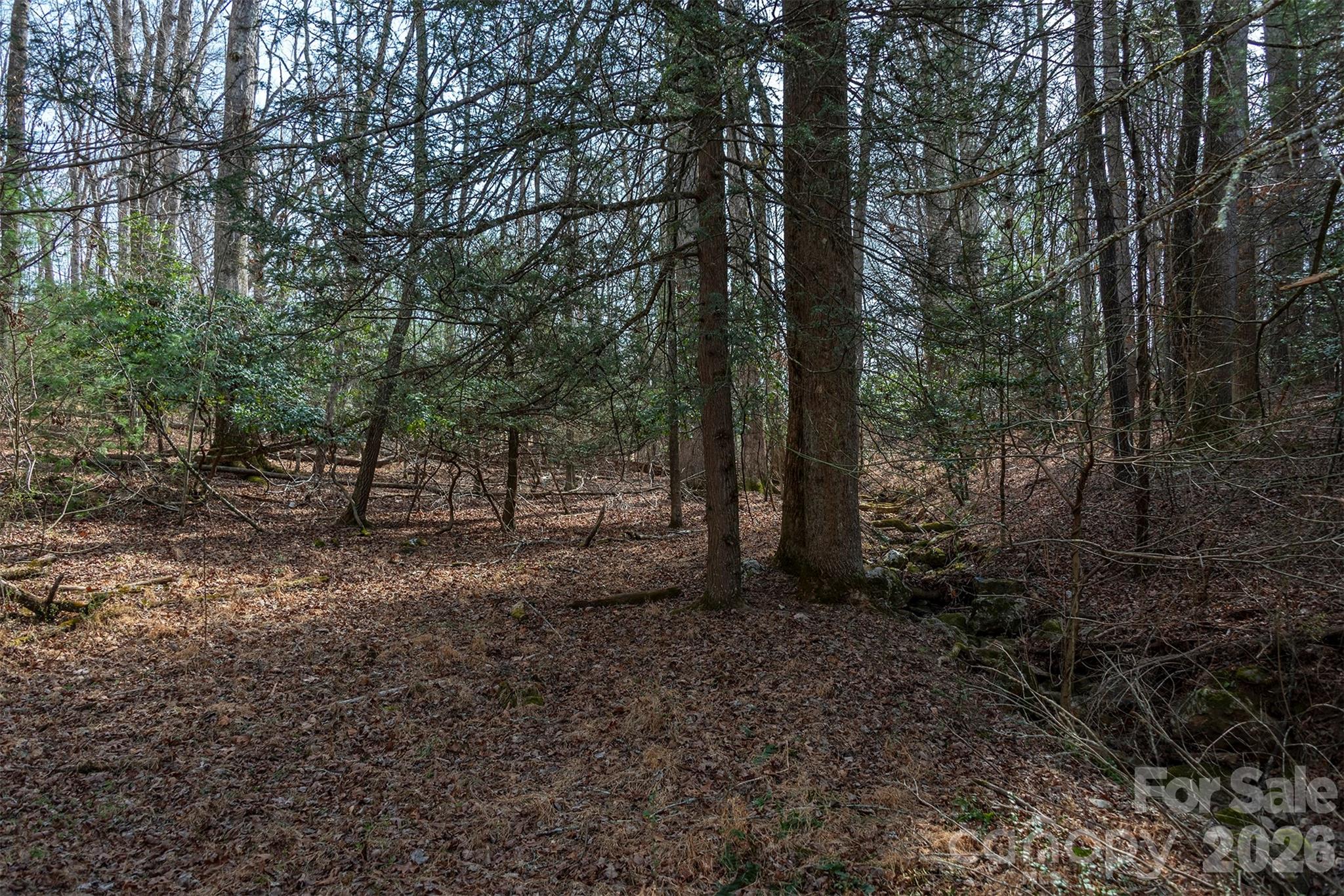 Tbd Ball Gap Road Arden NC 28704