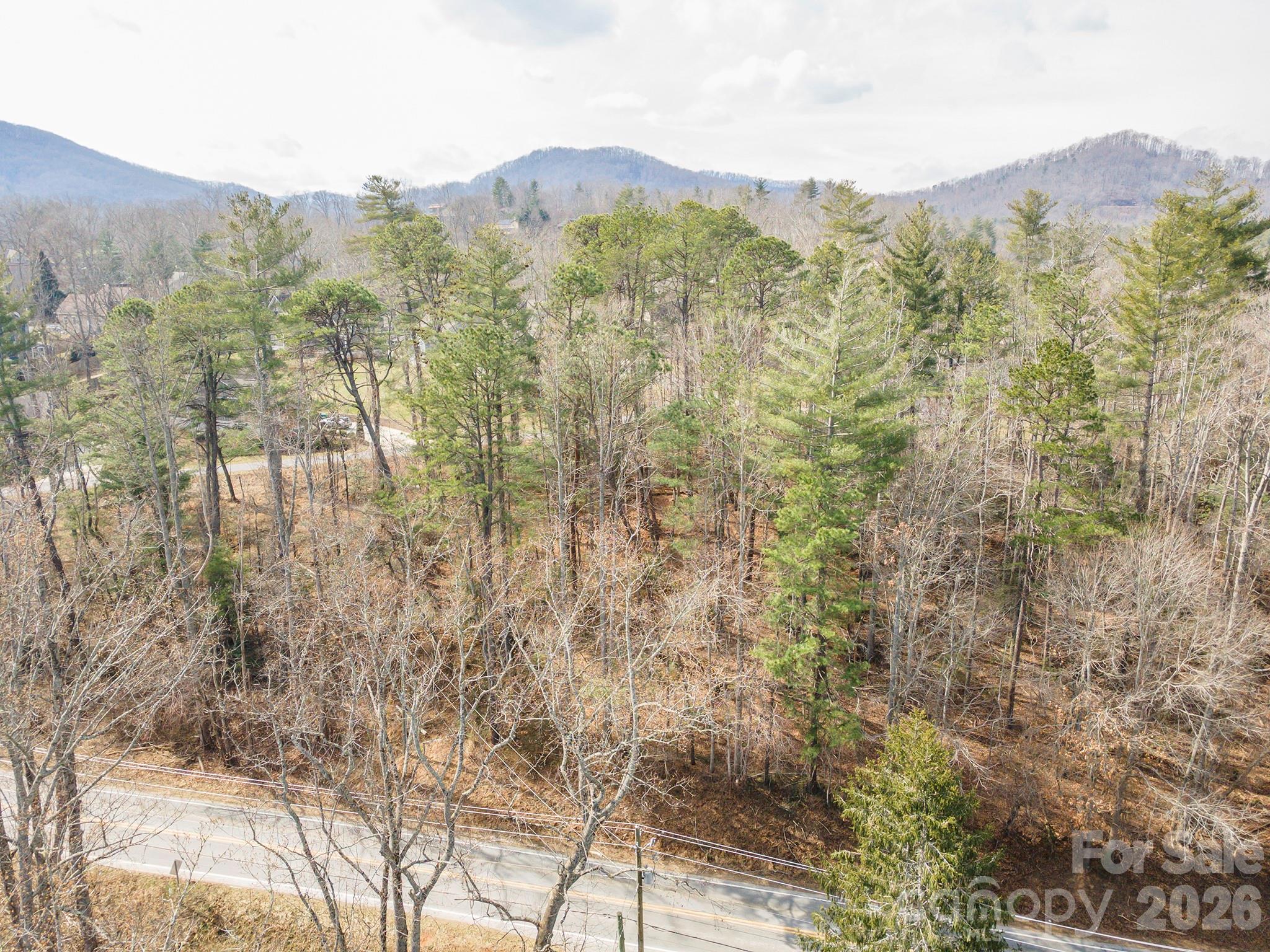 Tbd Ball Gap Road Arden NC 28704