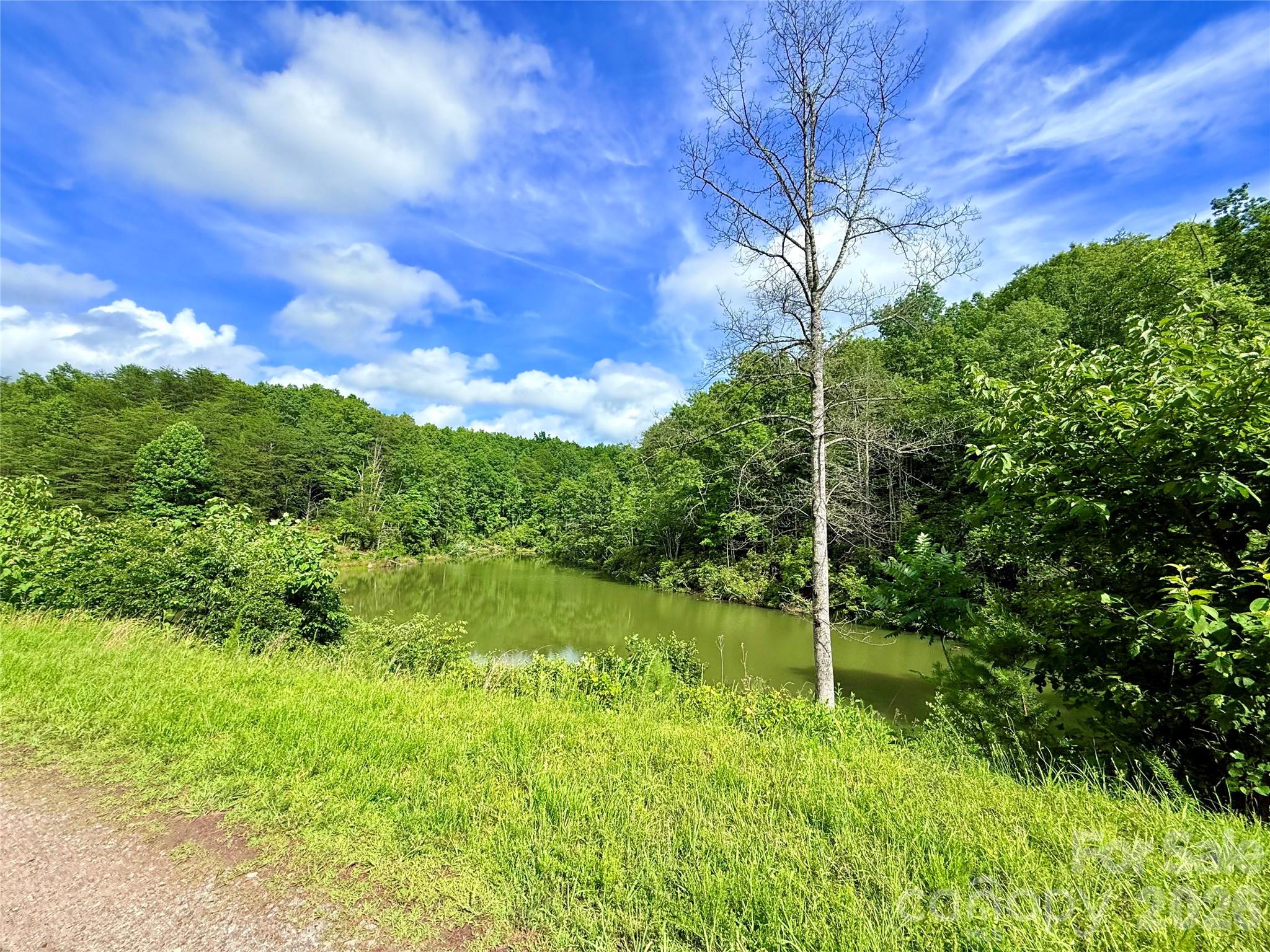 221 Summerfield Lane Rutherfordton NC 28139