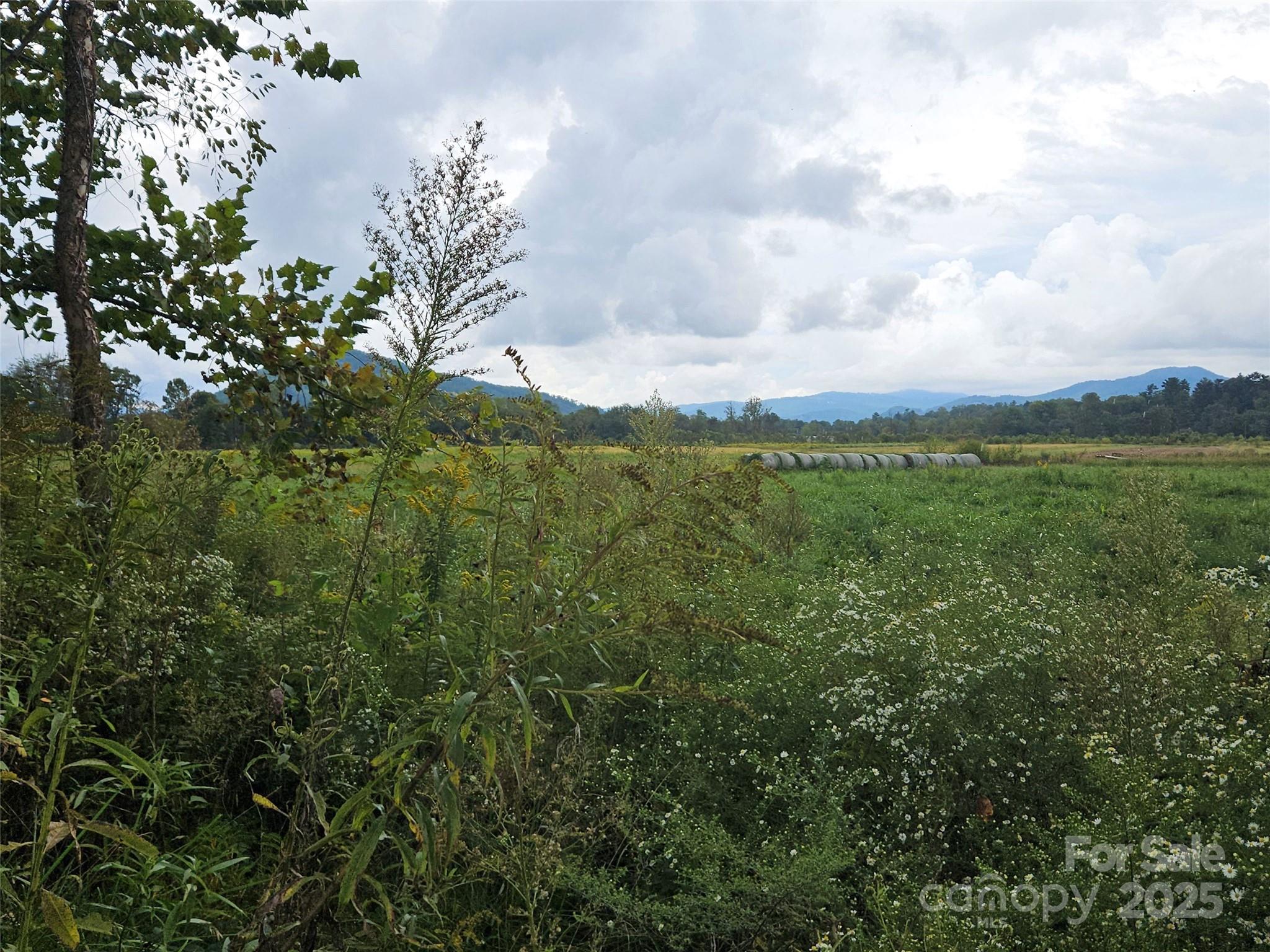 111 Howard Gap Road Fletcher NC 28732