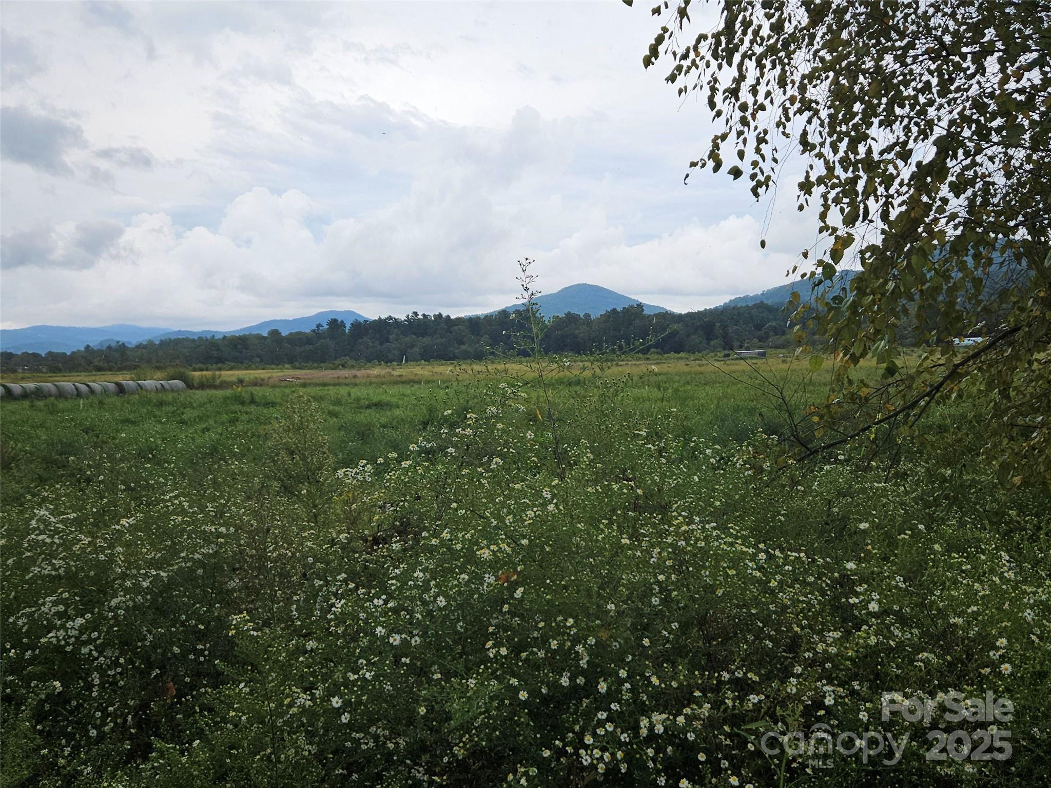 111 Howard Gap Road Fletcher NC 28732