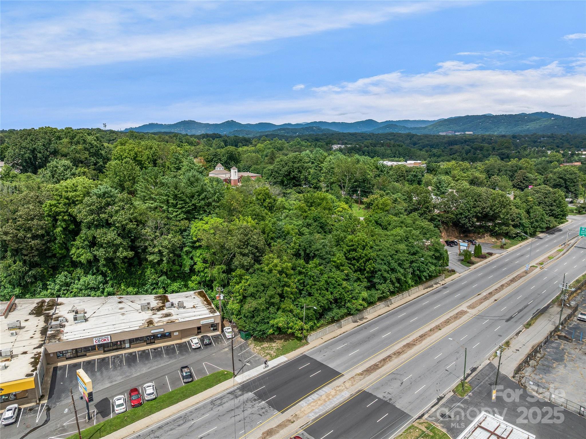 220, 226 & 99999 Hazel Mill Road Asheville NC 28806