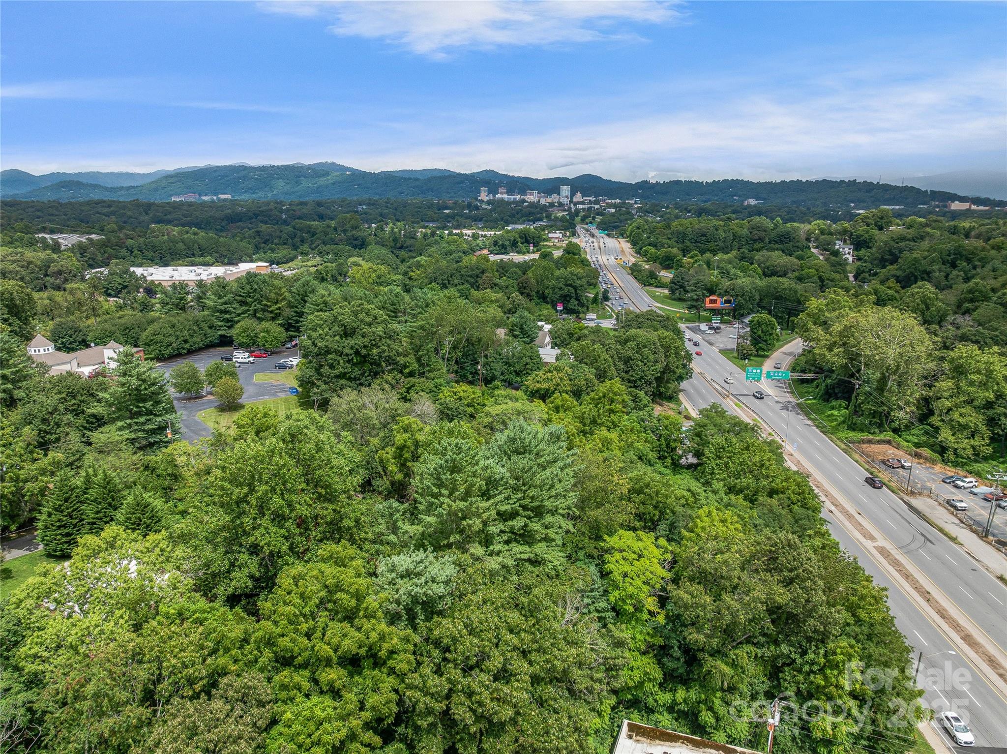 220, 226 & 99999 Hazel Mill Road Asheville NC 28806