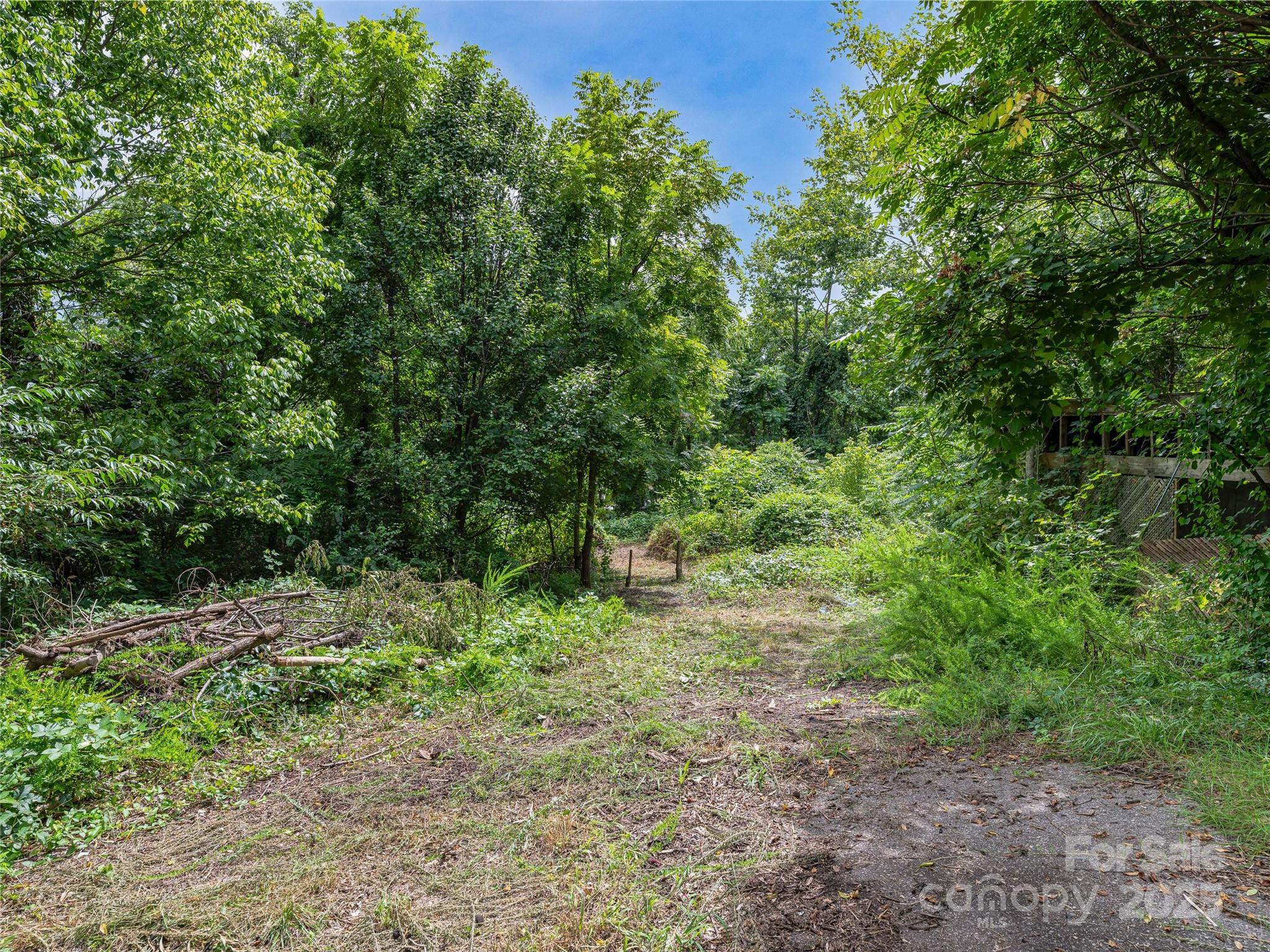 220, 226 & 99999 Hazel Mill Road Asheville NC 28806