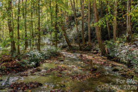 195 Still Waters Lane Brevard NC 28712