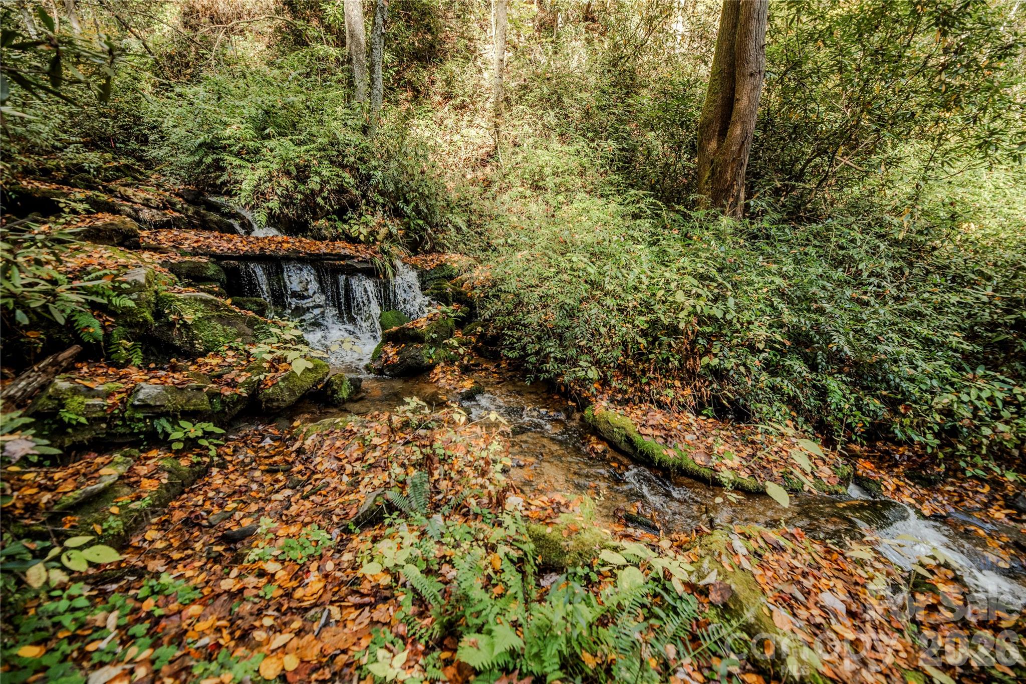 195 Still Waters Lane Brevard NC 28712