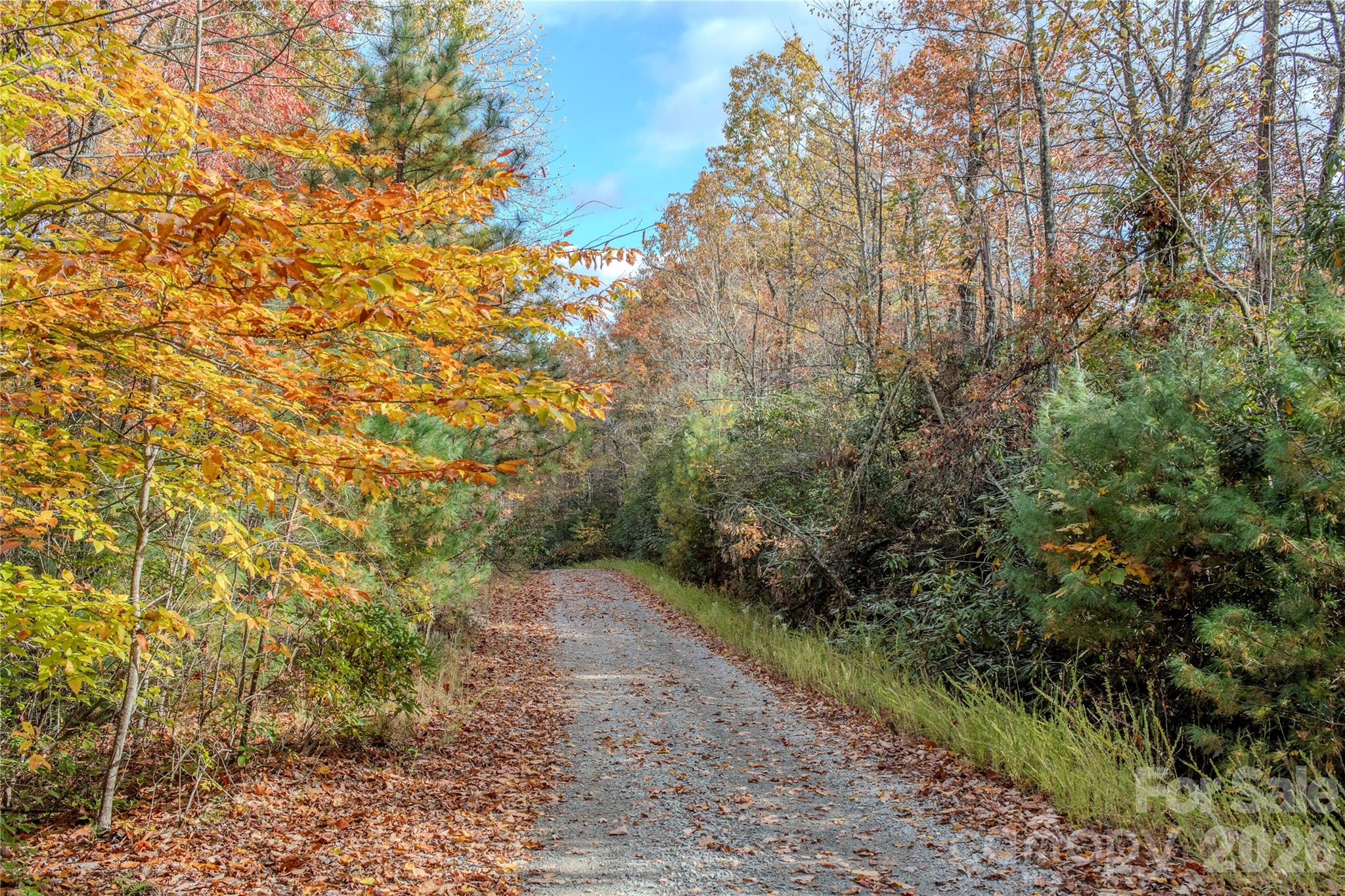 195 Still Waters Lane Brevard NC 28712