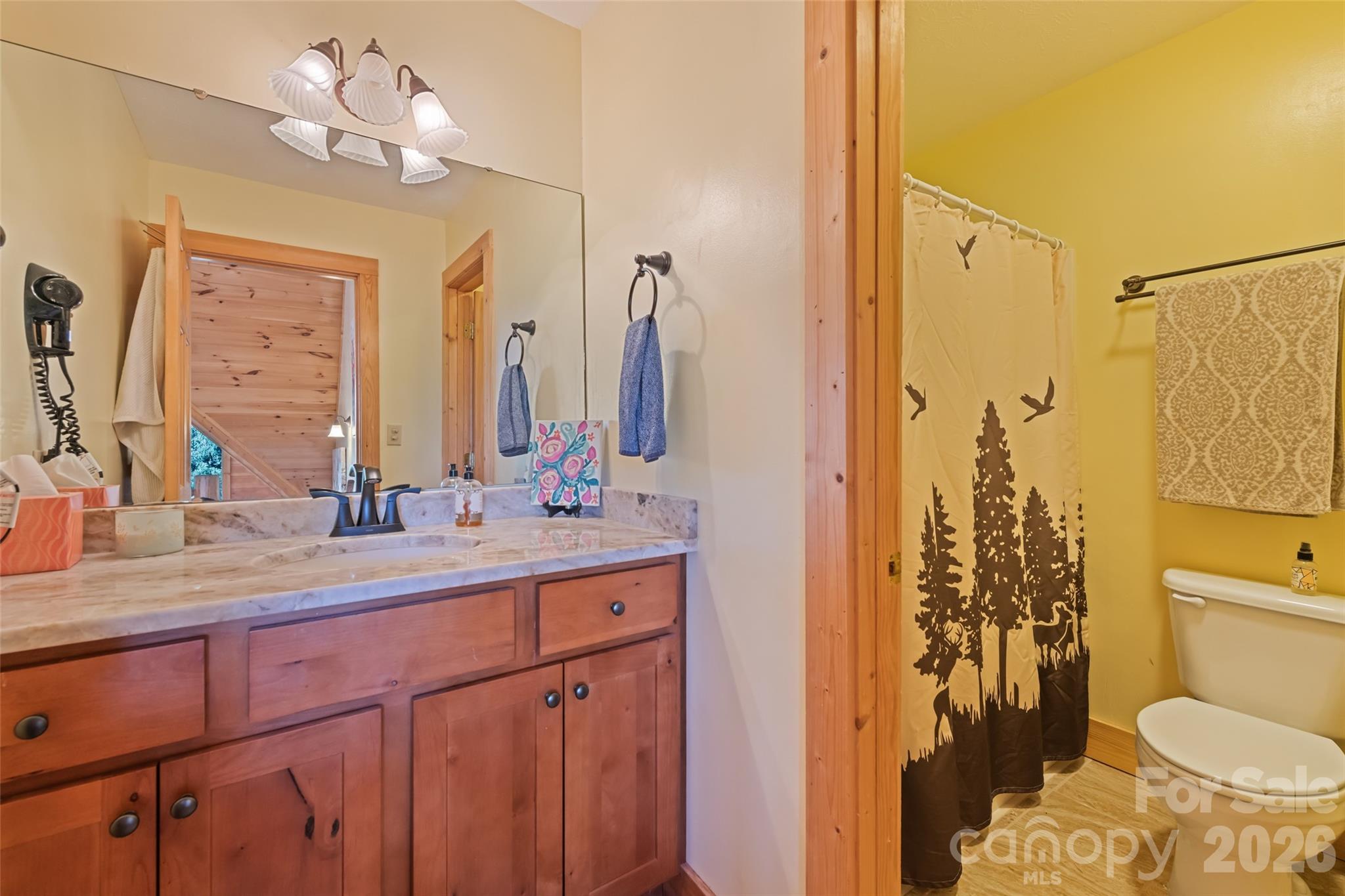 26 Gaddis Branch Road Maggie Valley NC 28751