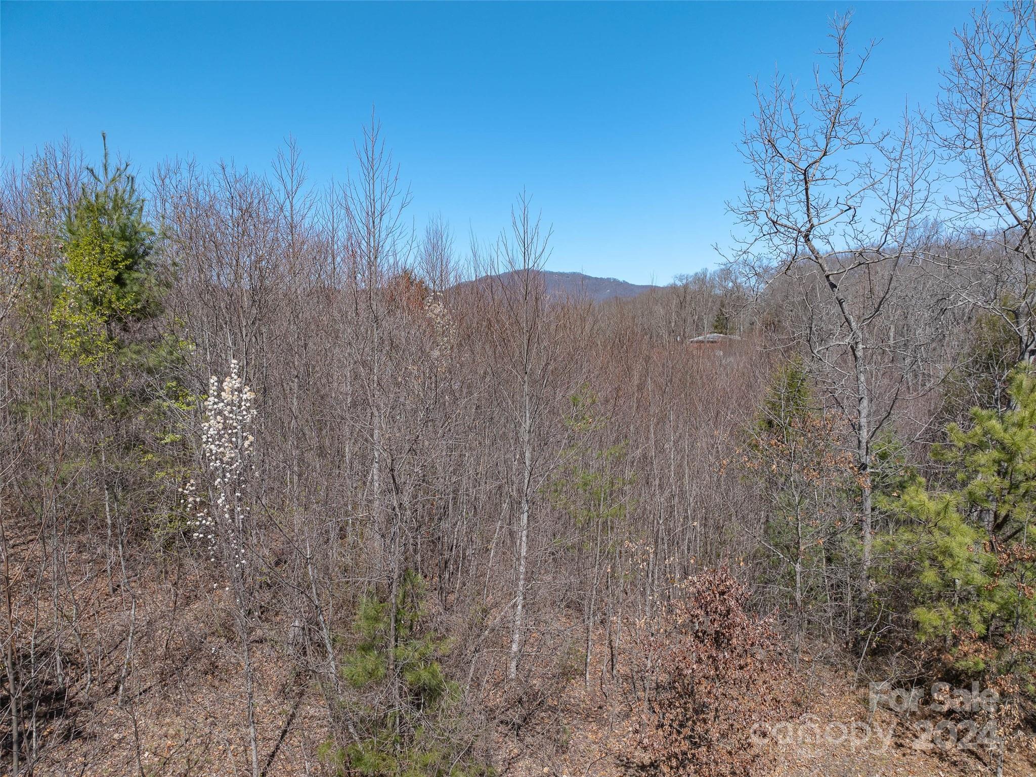 00 Woodland Drive Waynesville NC 28786