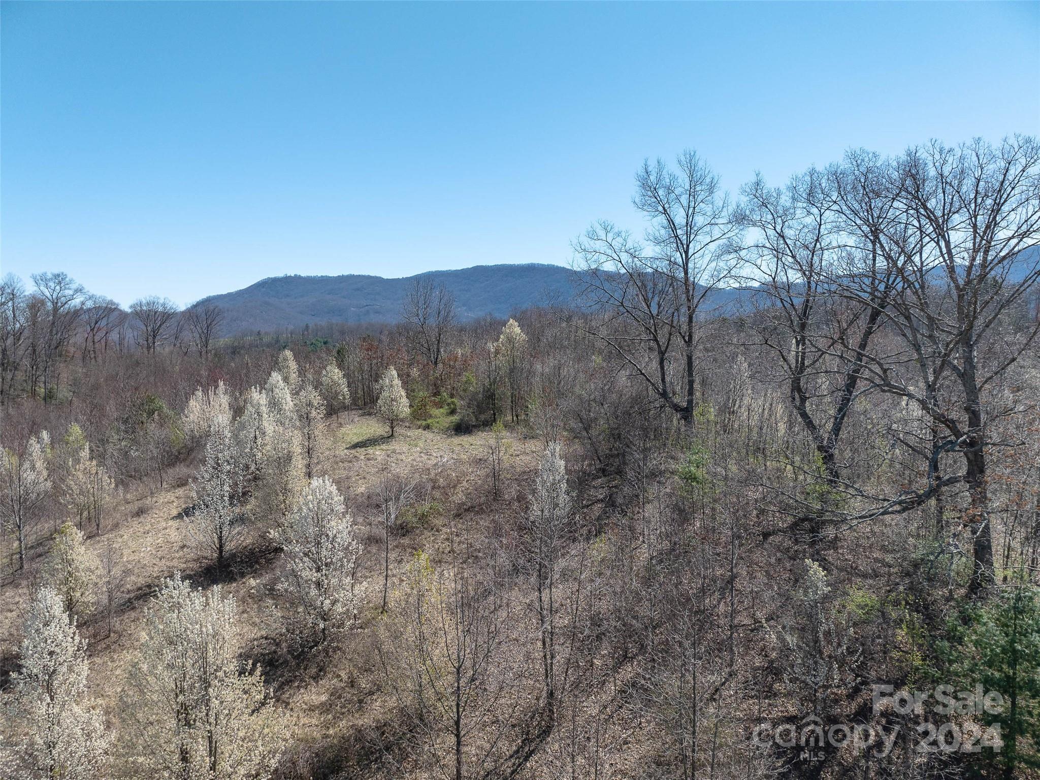 00 Woodland Drive Waynesville NC 28786