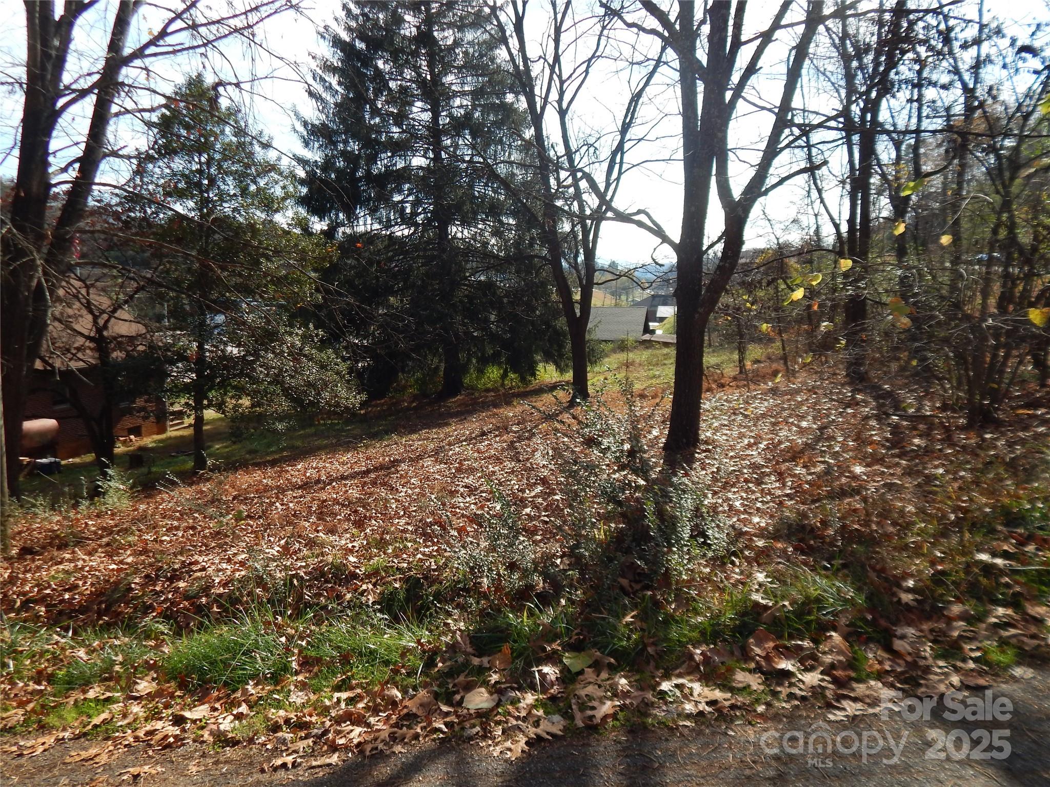 9 Chaparral Drive Sylva NC 28779