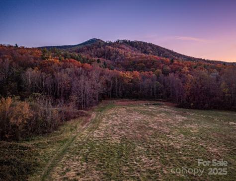 195 Access Road Black Mountain NC 28711