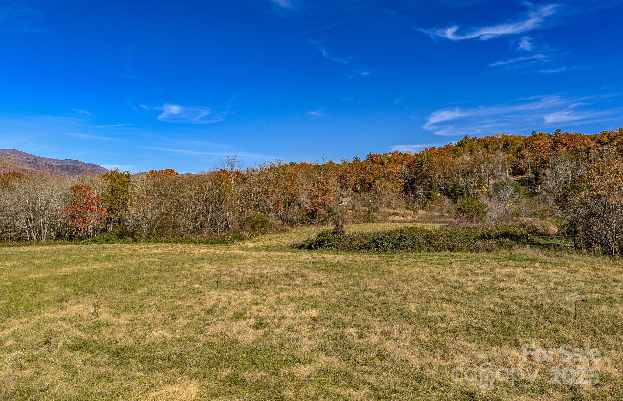 195 Access Road Black Mountain NC 28711