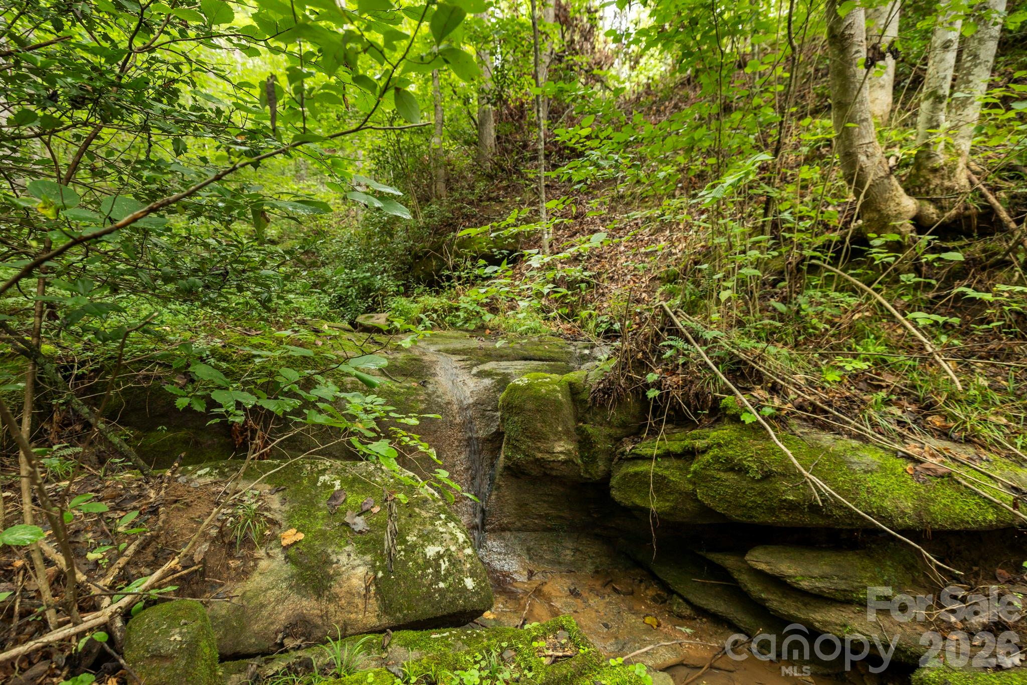 6080 Us 64/74a Highway Lake Lure NC 28746