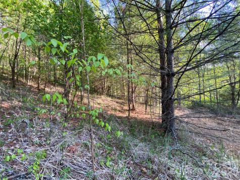 99999 Us 23 Highway Mars Hill NC 28754