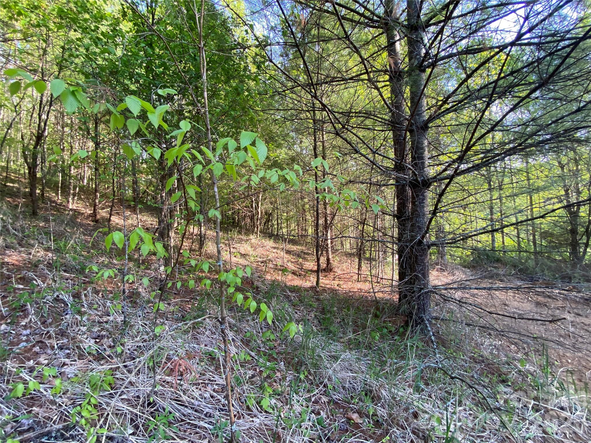 99999 Us 23 Highway Mars Hill NC 28754