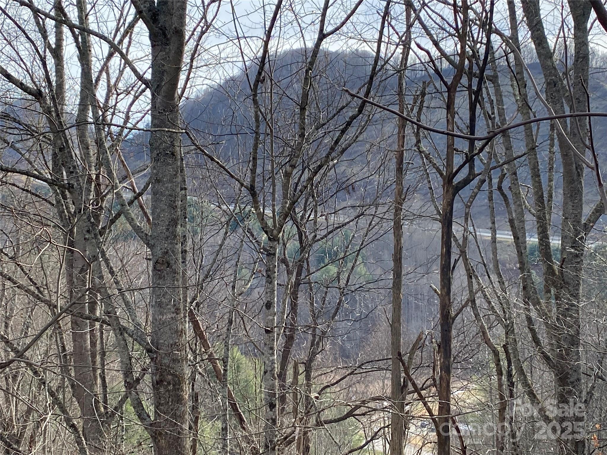 99999 Us 23 Highway Mars Hill NC 28754