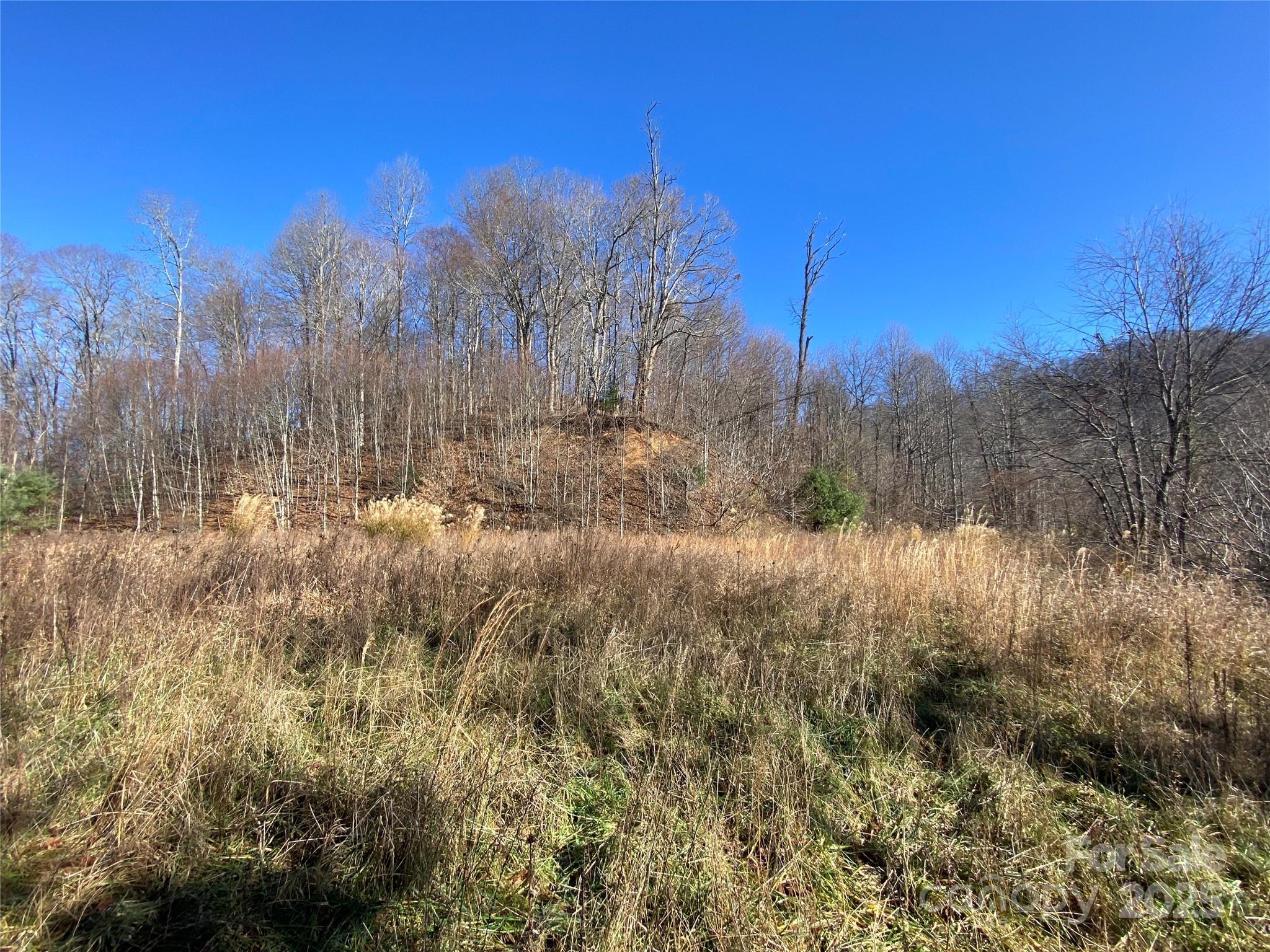 99999 Us 23 Highway Mars Hill NC 28754