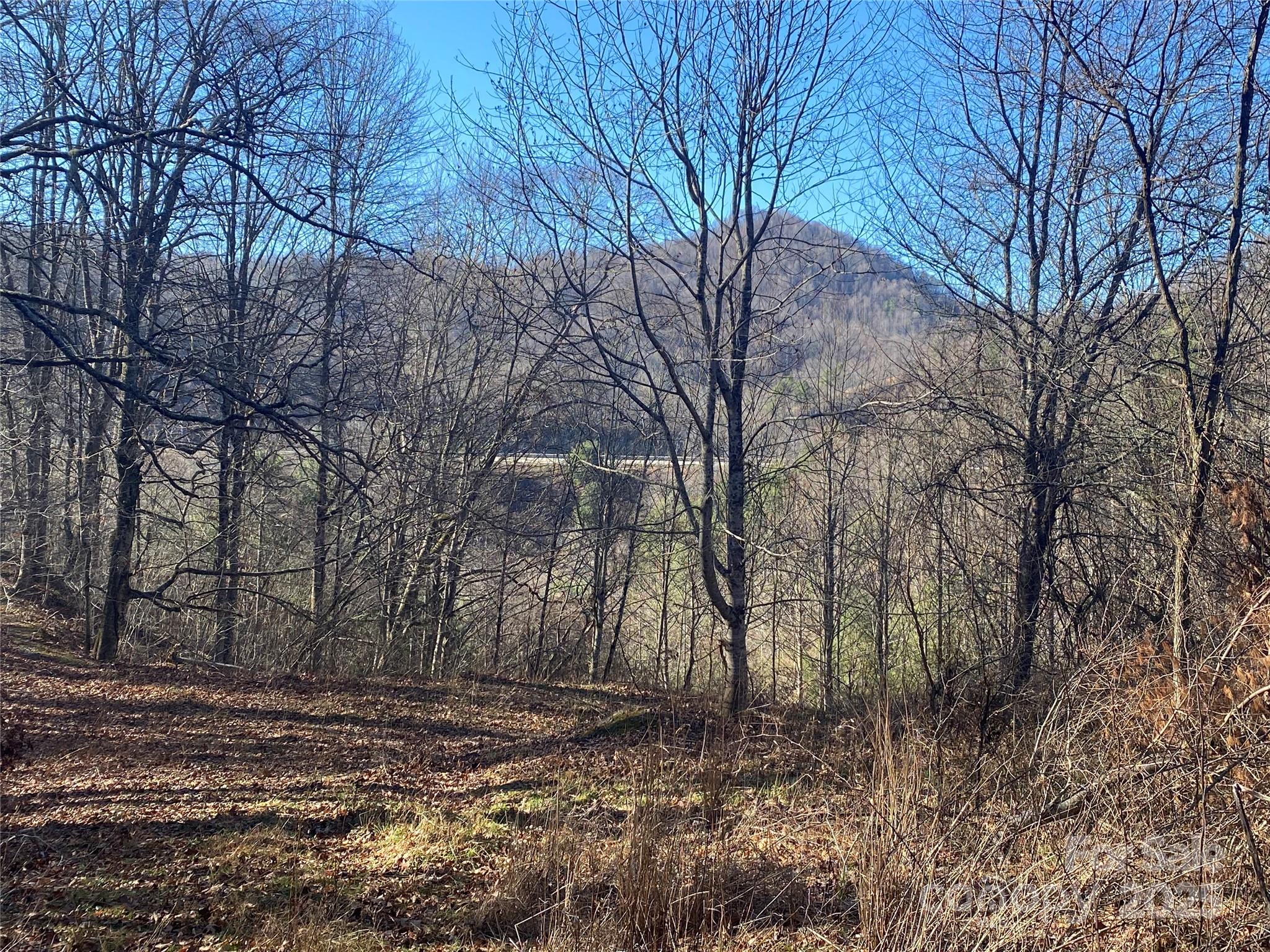 99999 Us 23 Highway Mars Hill NC 28754