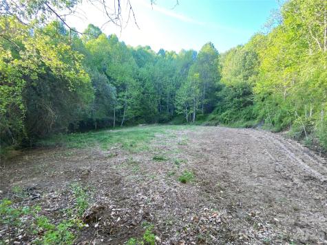 99999 Us 23 Highway Mars Hill NC 28754